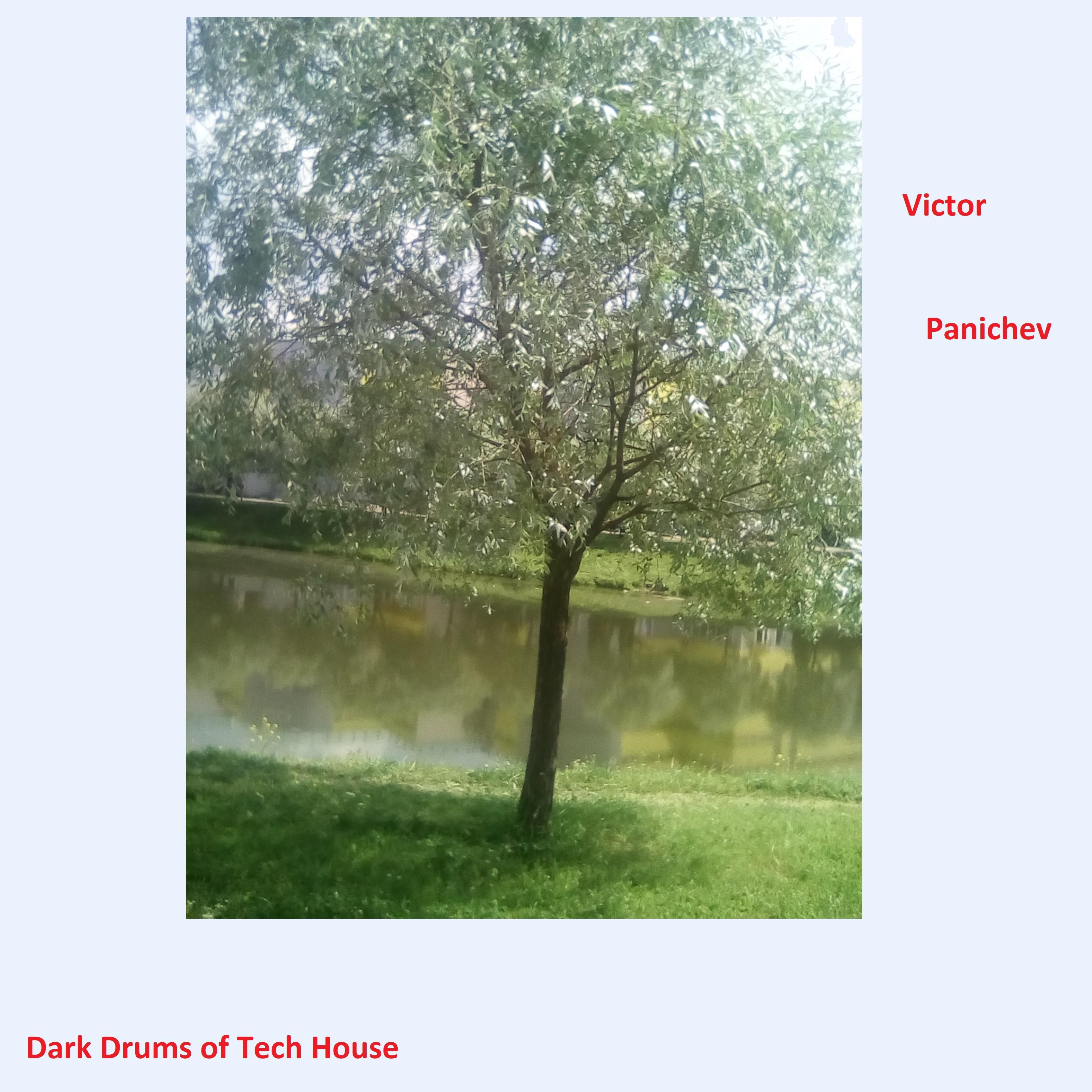 Постер альбома Dark Drums of Tech House