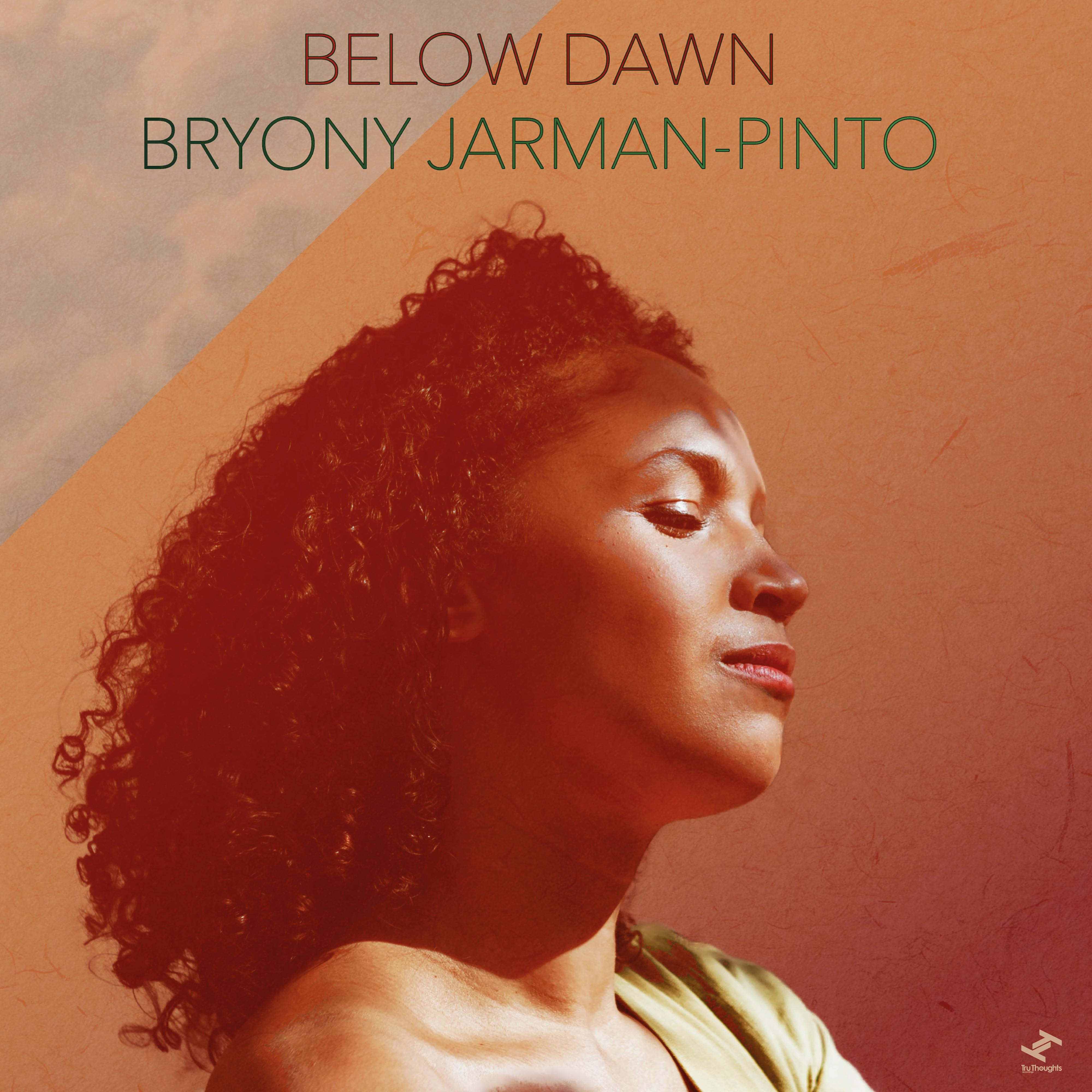 Постер альбома Below Dawn
