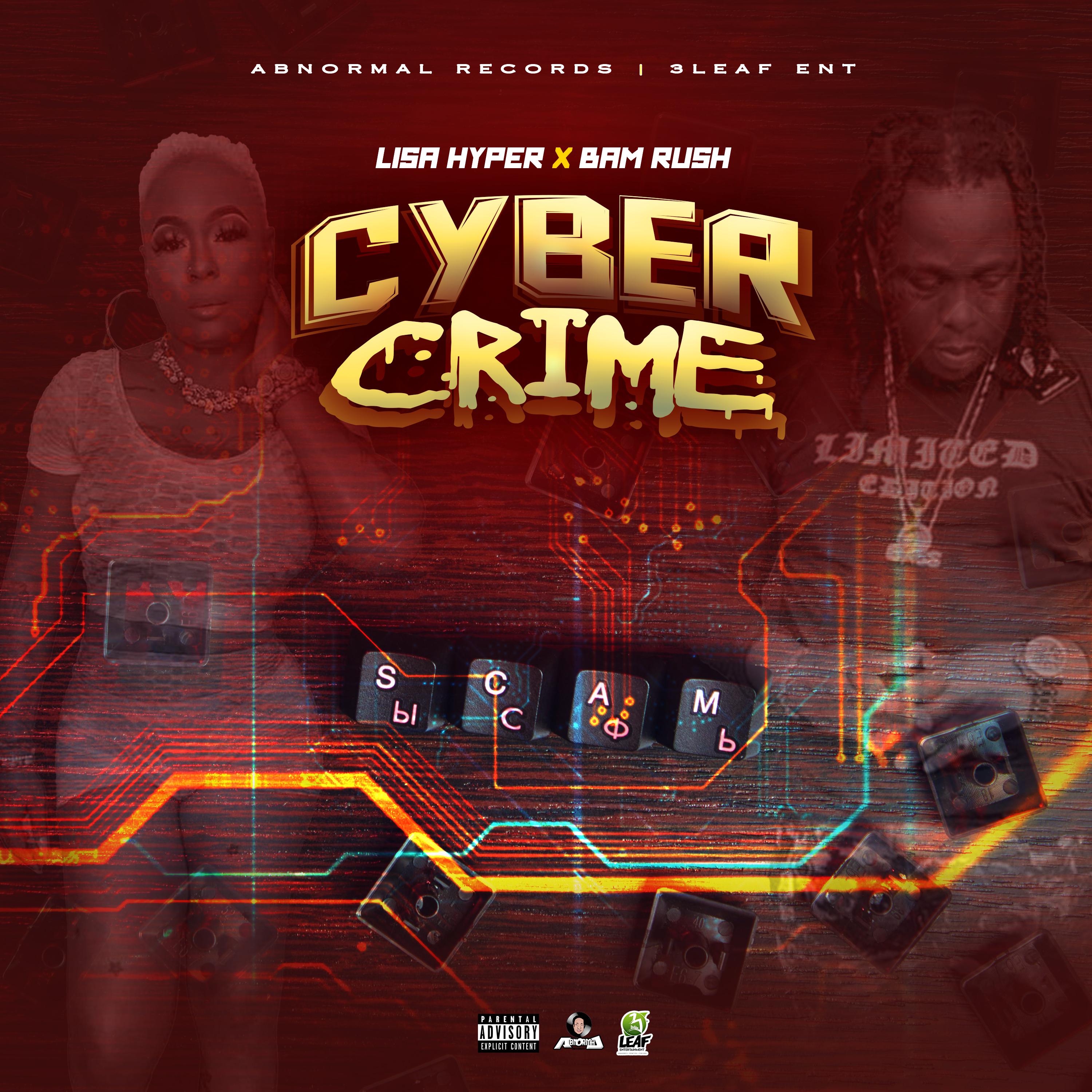 Постер альбома Cyber Crime
