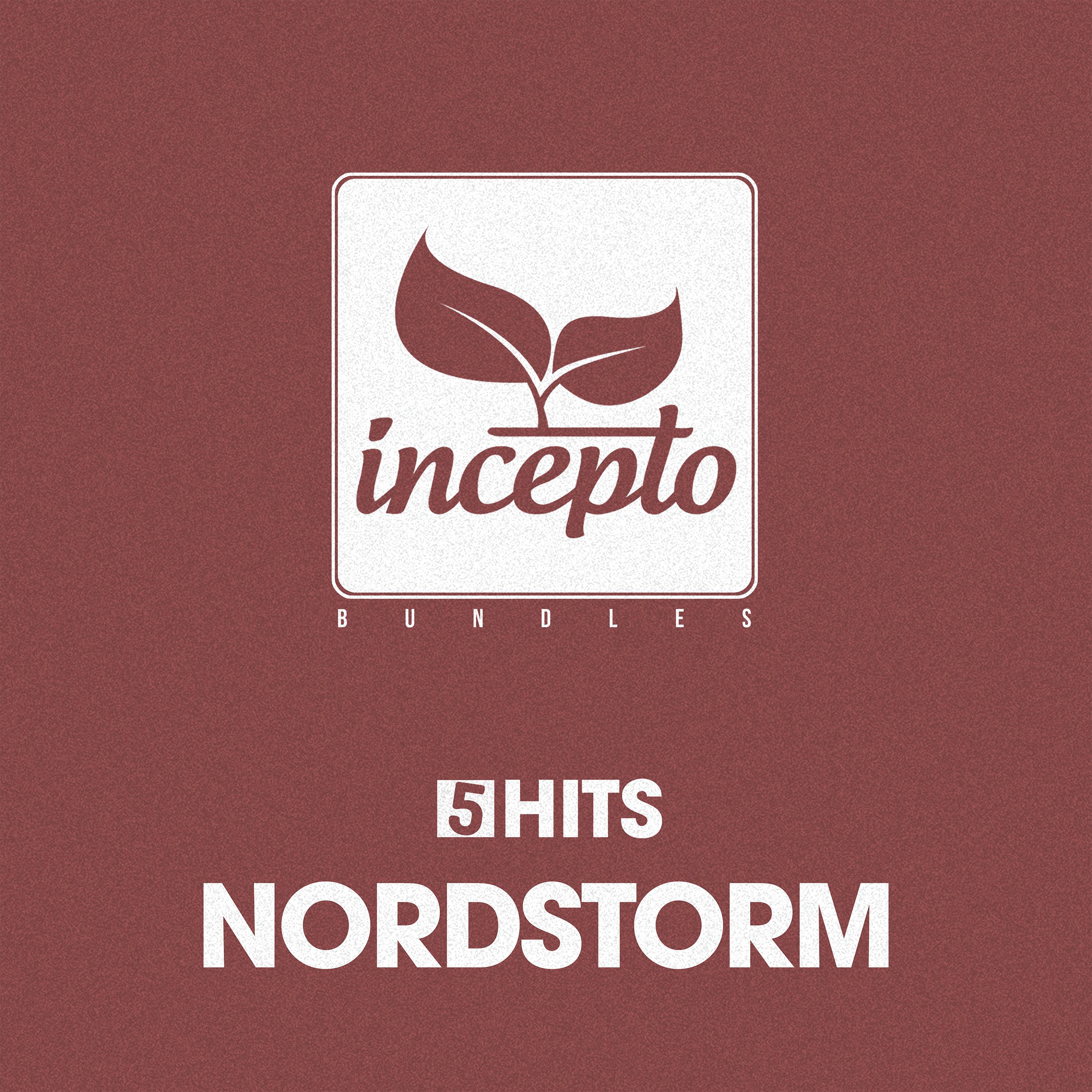 Постер альбома 5 Hits: Nordstorm