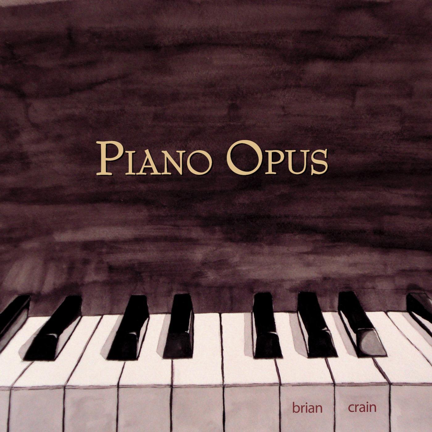 Постер альбома Piano Opus - Solo Piano