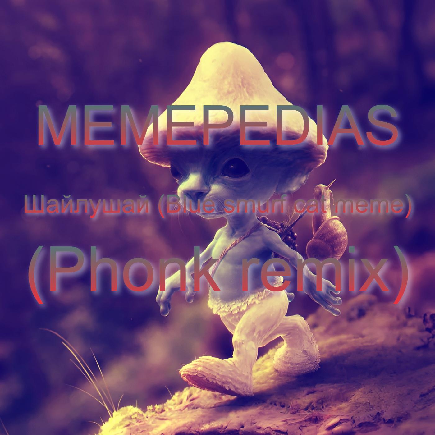 Постер альбома Шайлушай (Blue smurf cat meme) (Phonk remix)
