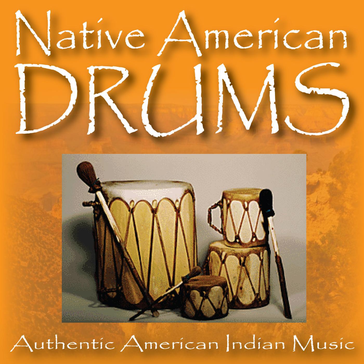 Постер альбома Native American Drums