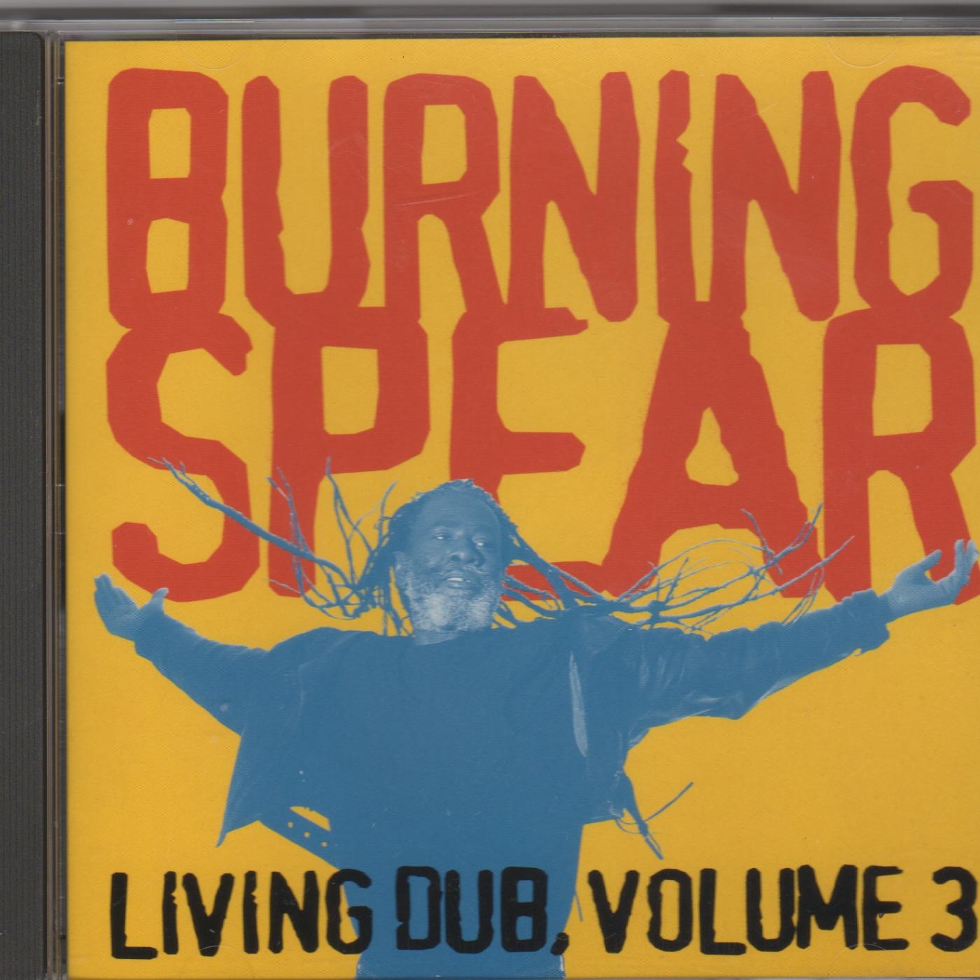 Постер альбома Living Dub Volume 3