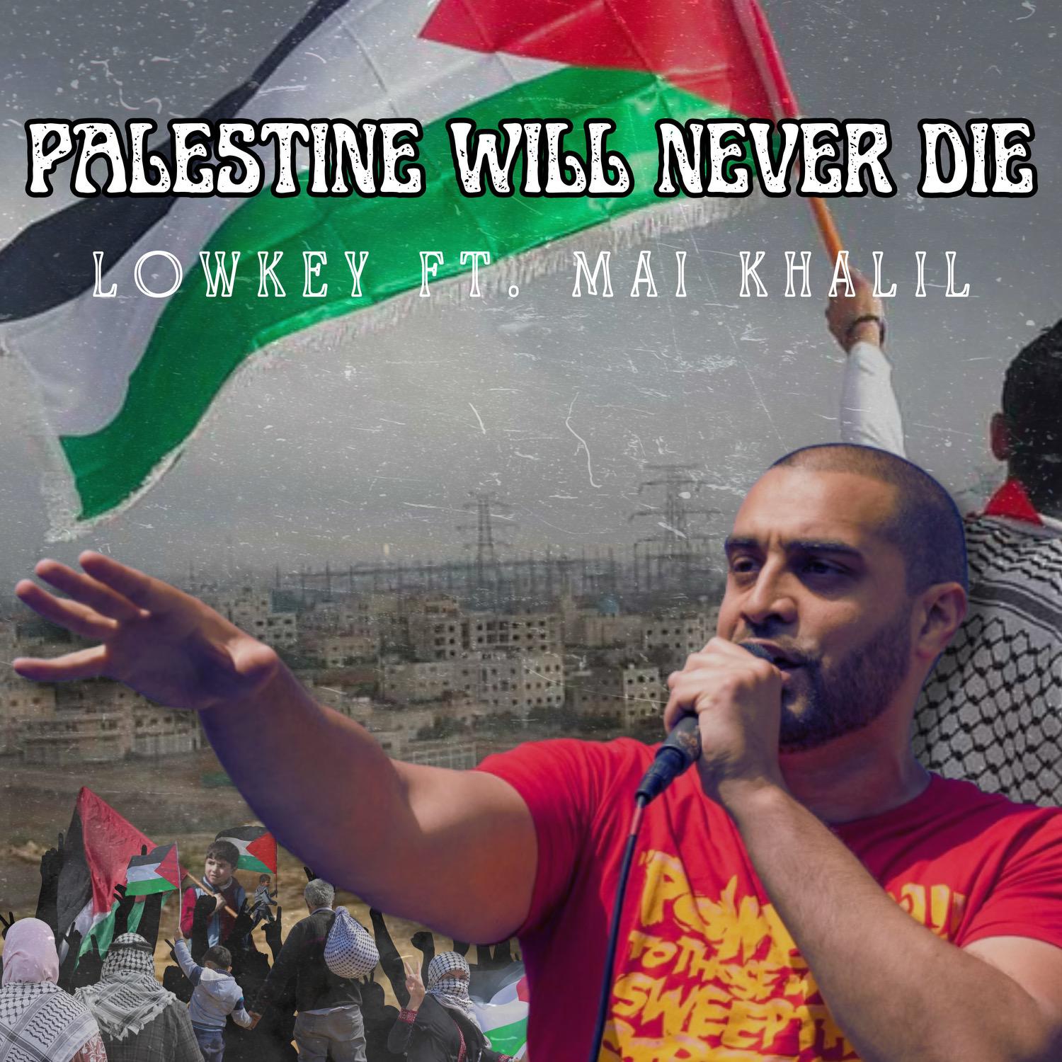 Постер альбома Palestine Will Never Die