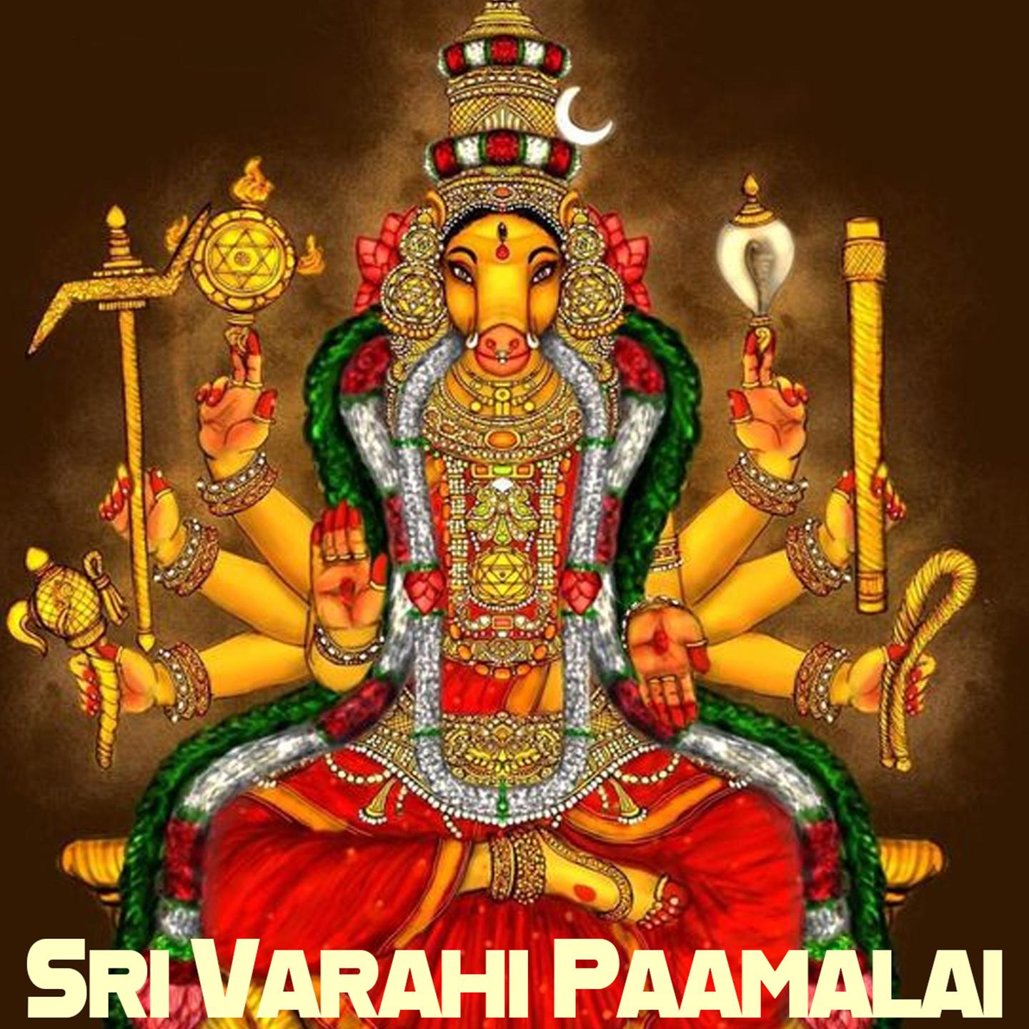 Постер альбома Sri Varahi Paamalai