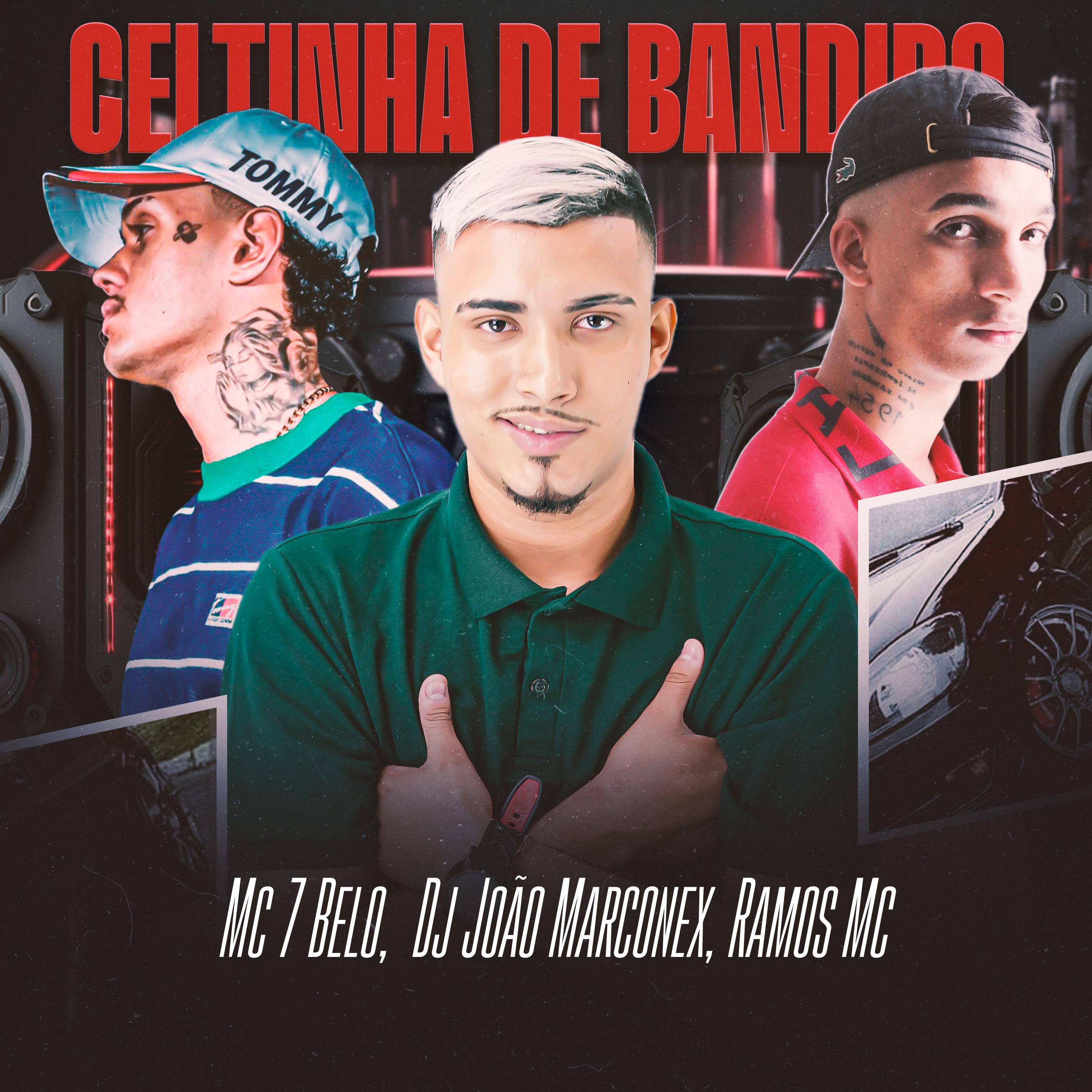 Постер альбома Celtinha de Bandido