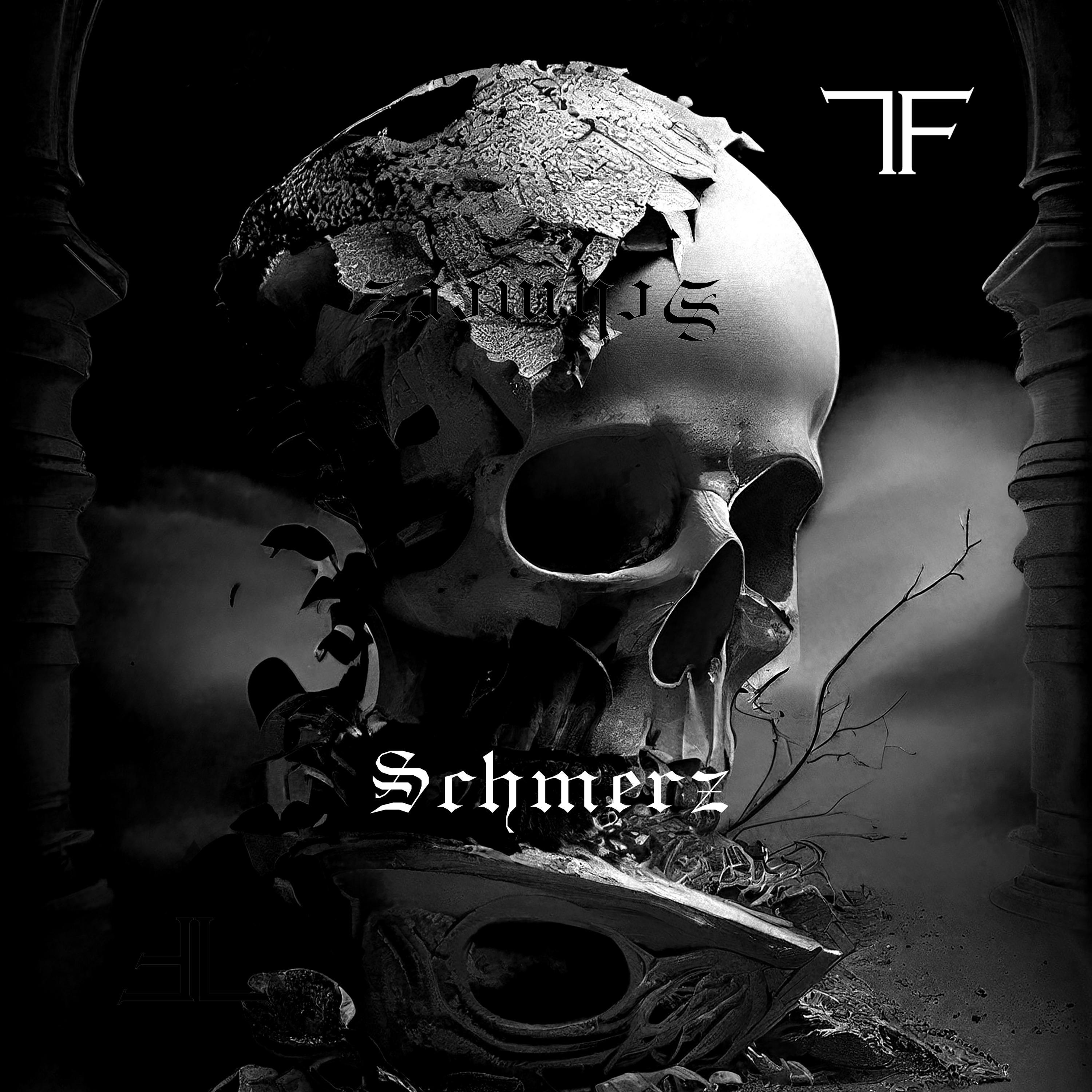 Постер альбома Schmerz