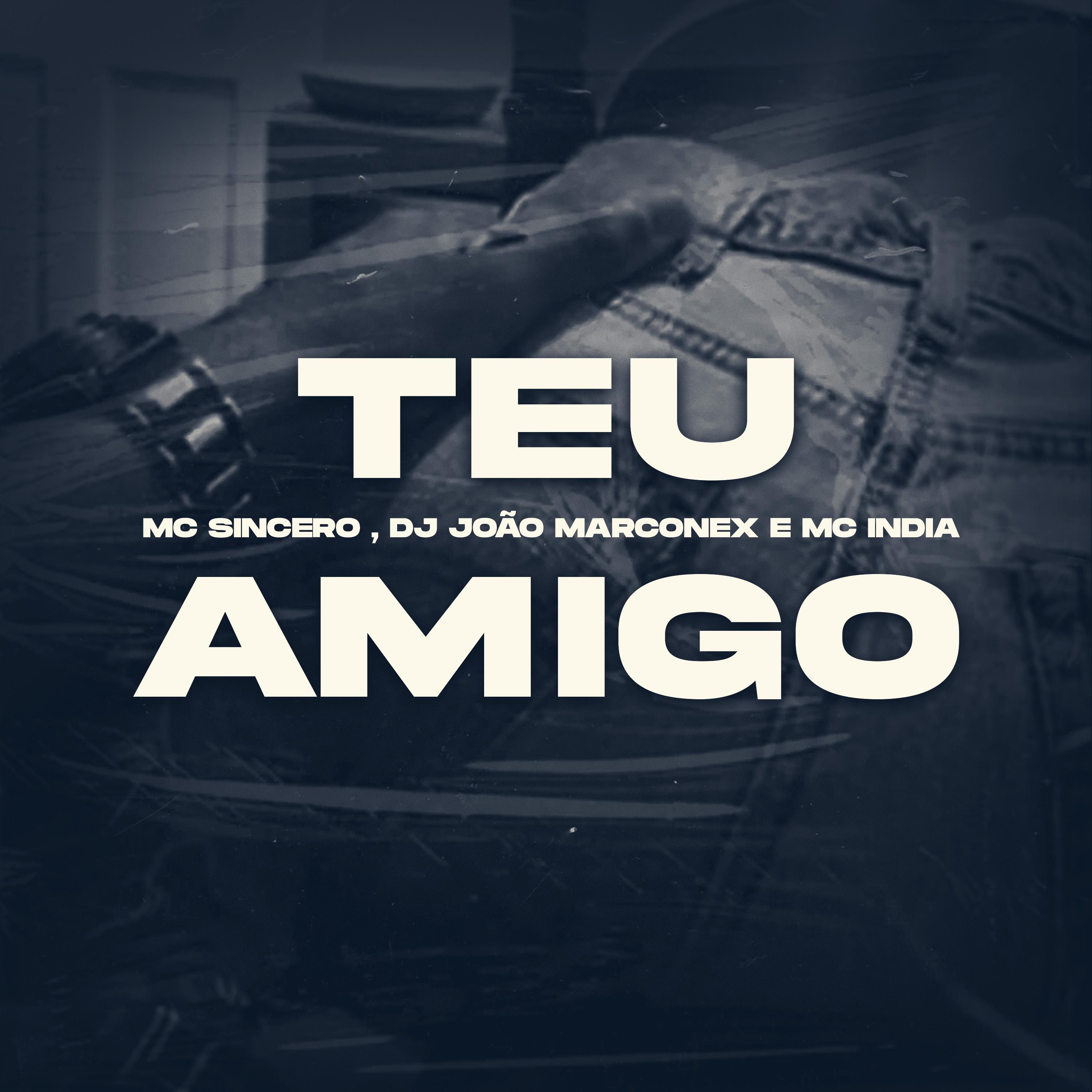 Постер альбома Teu Amigo