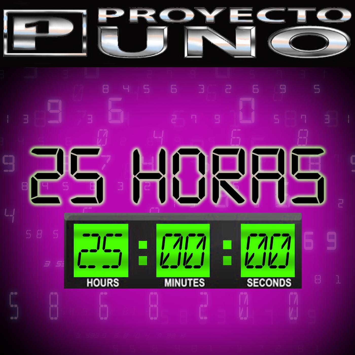 PROYECTO UNO - 25 Horas