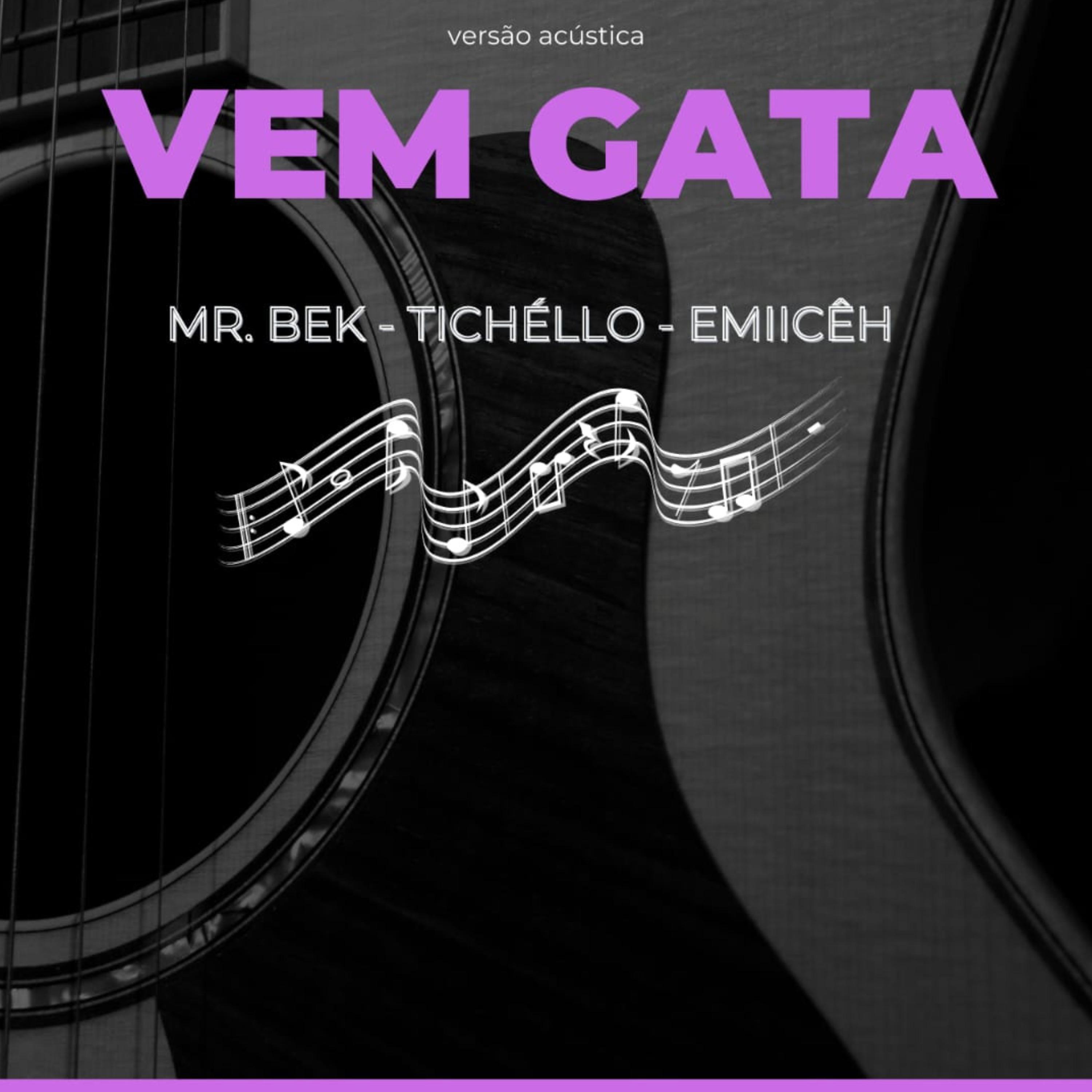 Постер альбома Vem Gata