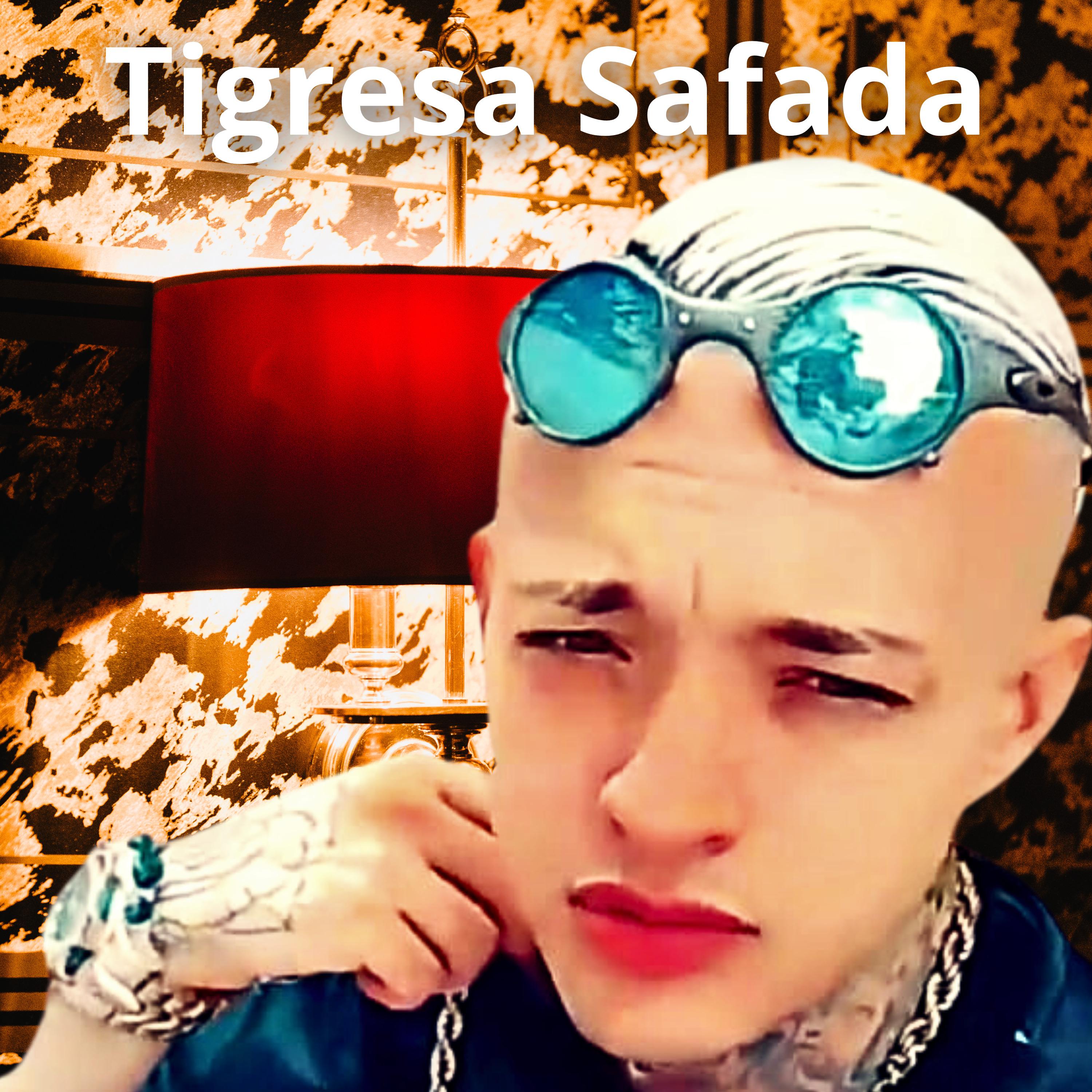 Постер альбома Tigresa Safada