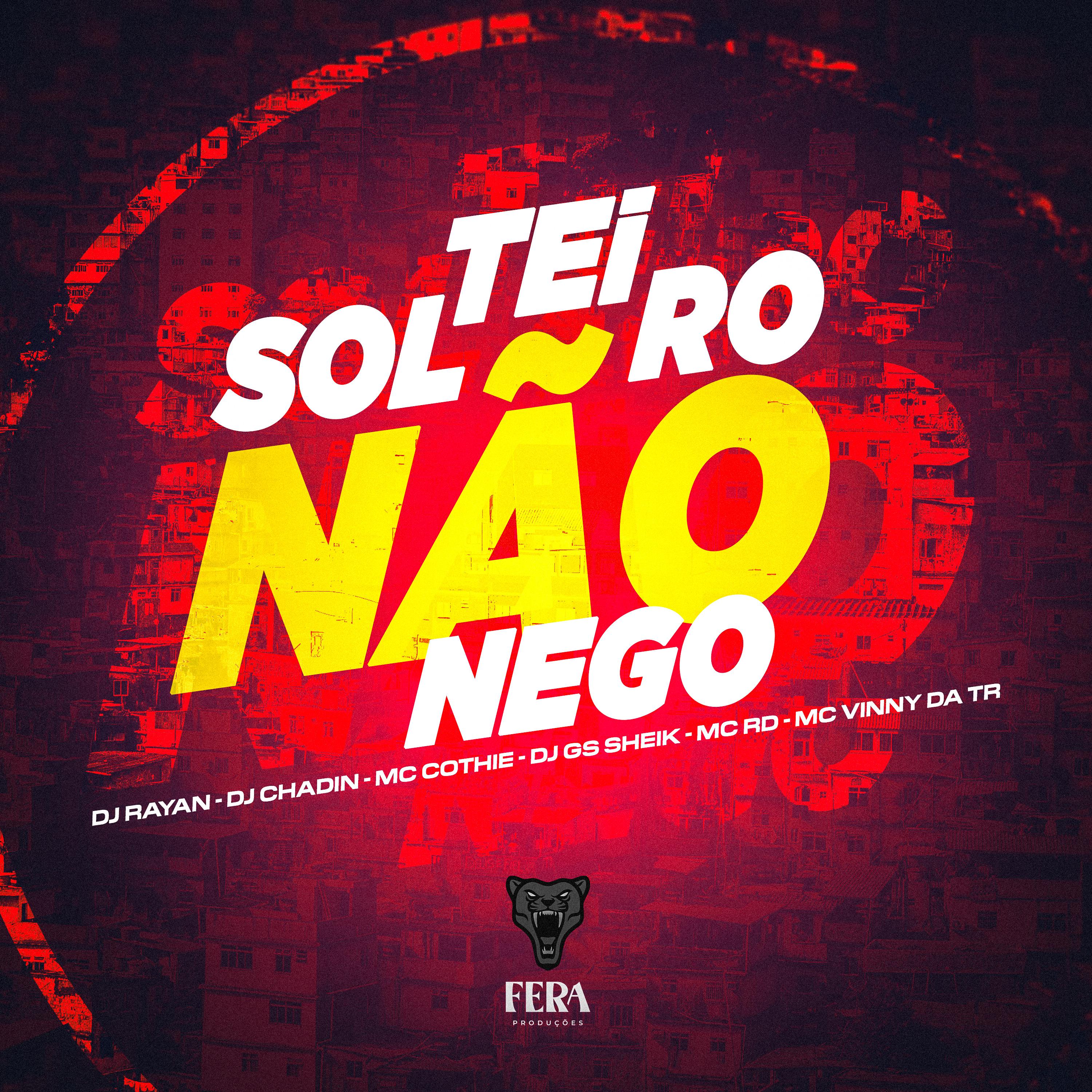 Постер альбома Solteiro Não Nego