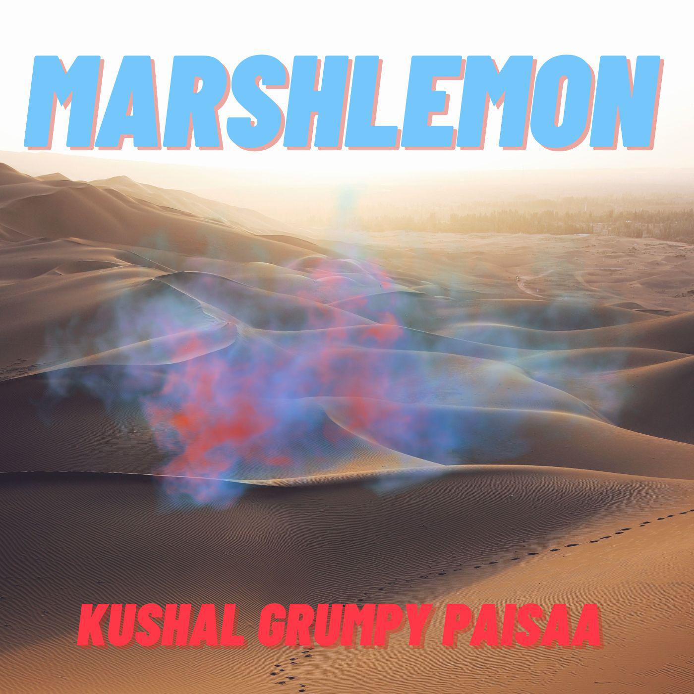 Постер альбома Kushal Grumpy Paisaa