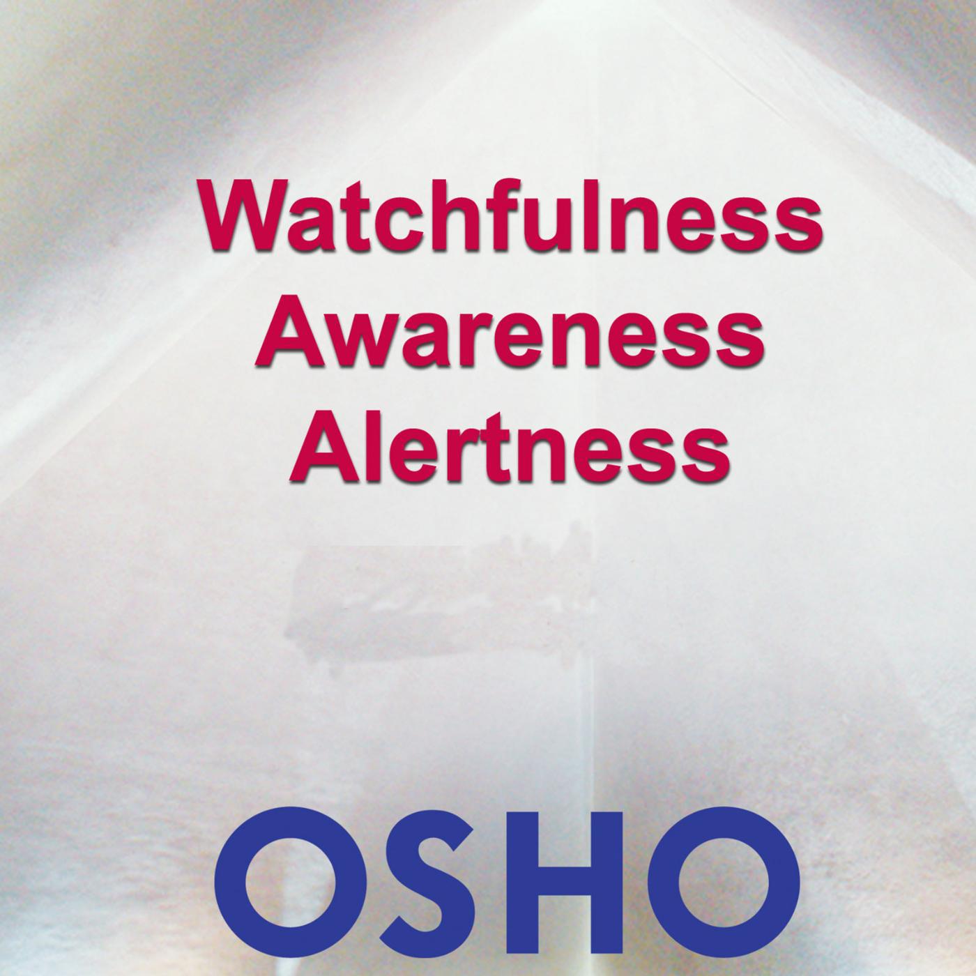 Постер альбома Watchfulness, Awareness, Alertness