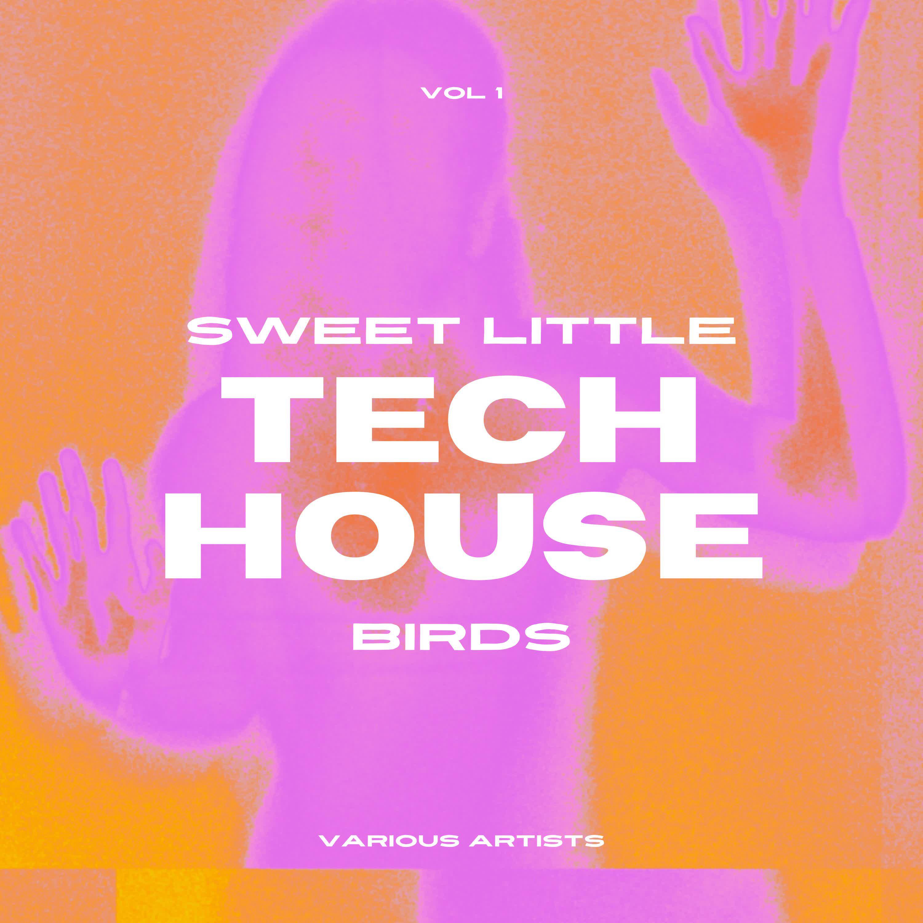Постер альбома Sweet Little Tech House Birds, Vol. 1