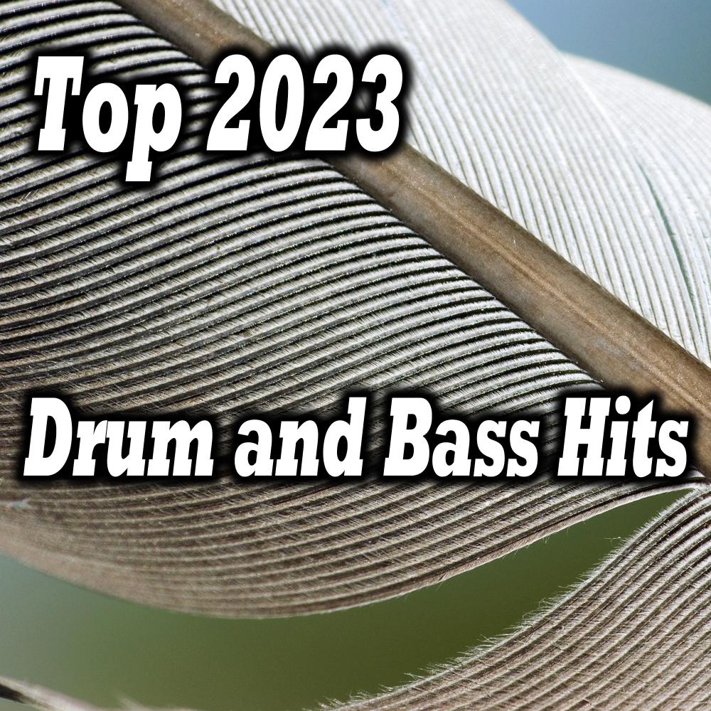 Постер альбома Top 2023 Drum and Bass Hits