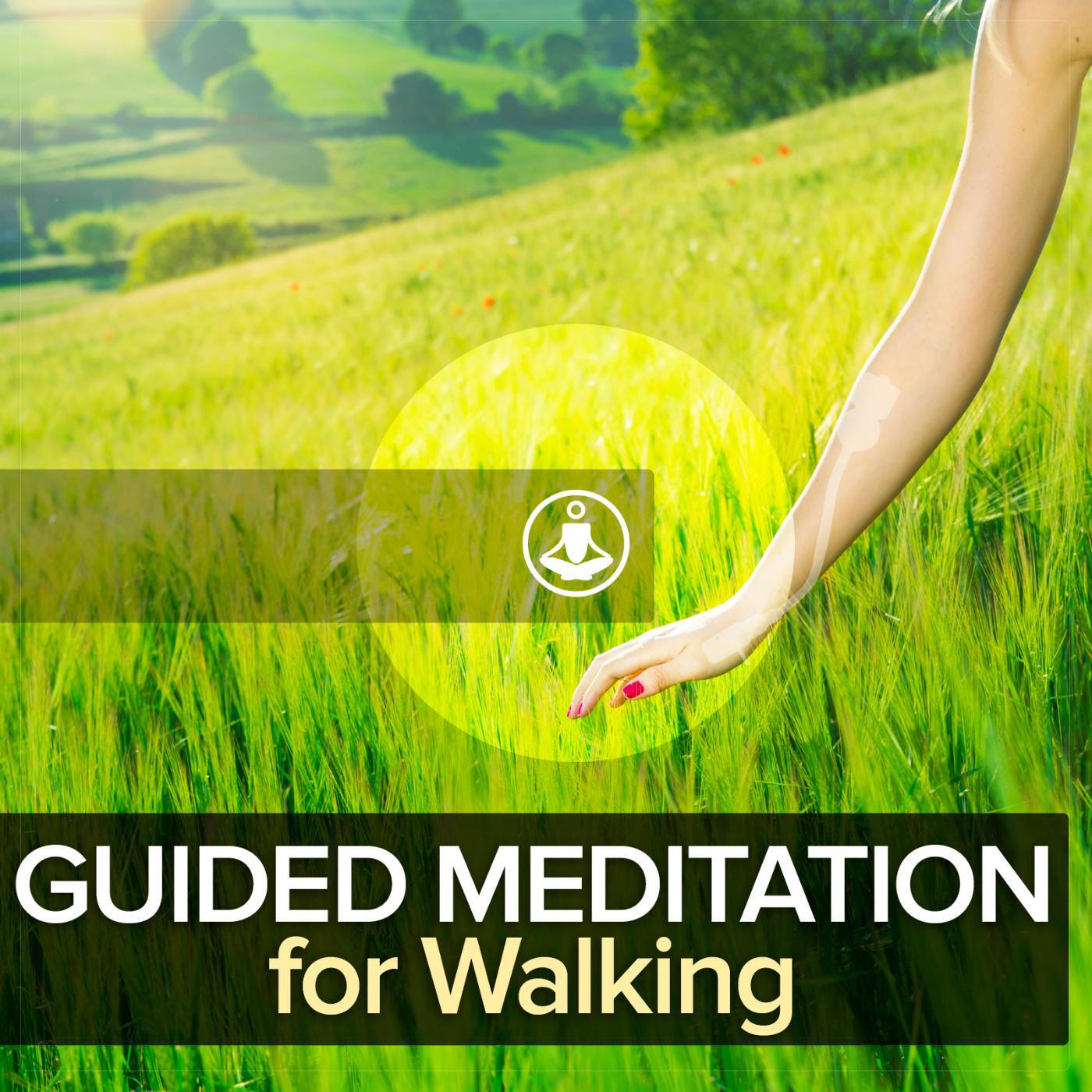 Satorio - Guided Meditation for Walking (Extended)