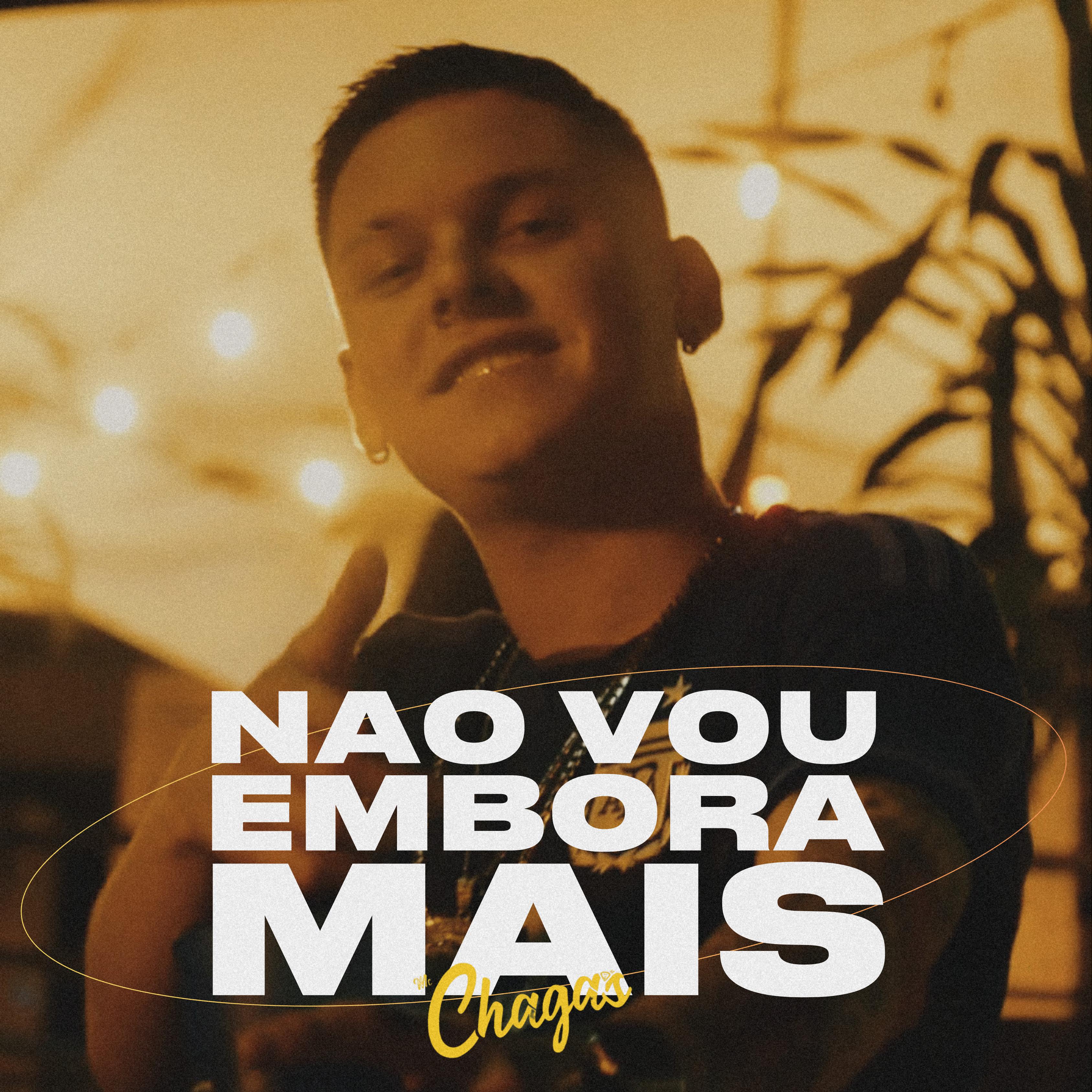 Постер альбома Não Vou Embora Mais!