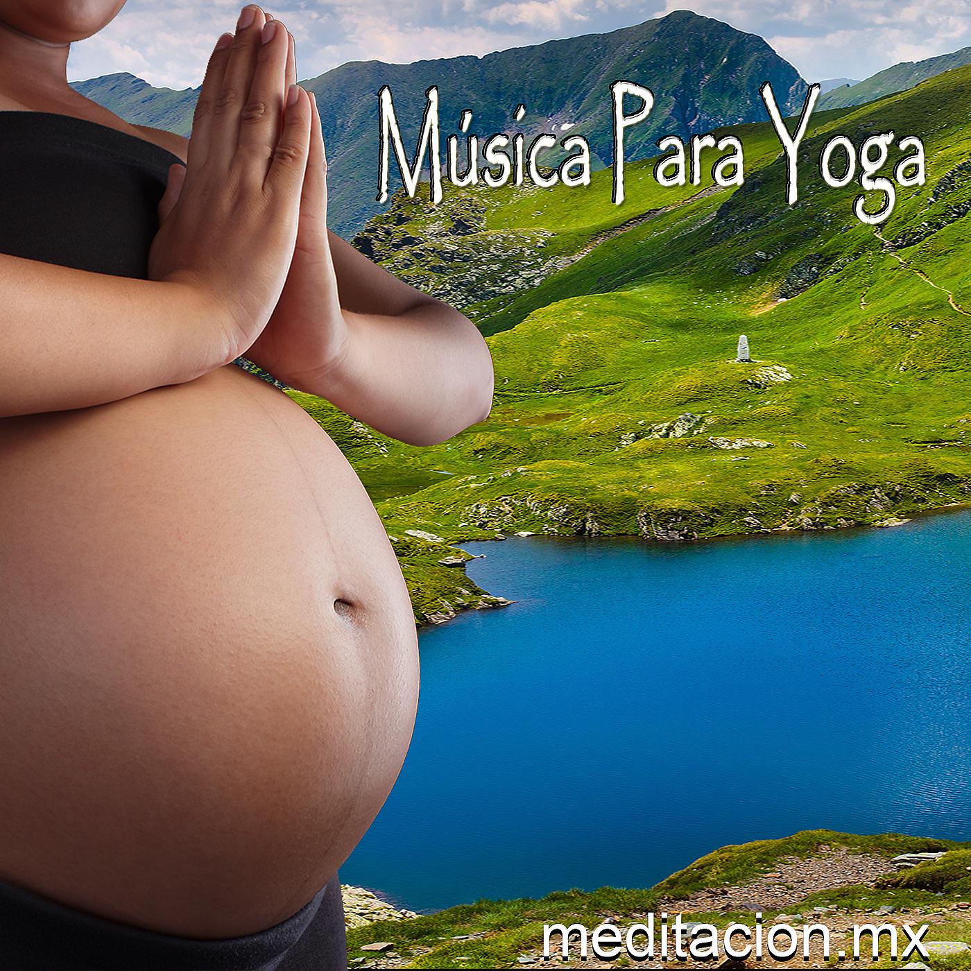 Постер альбома Música Para Yoga