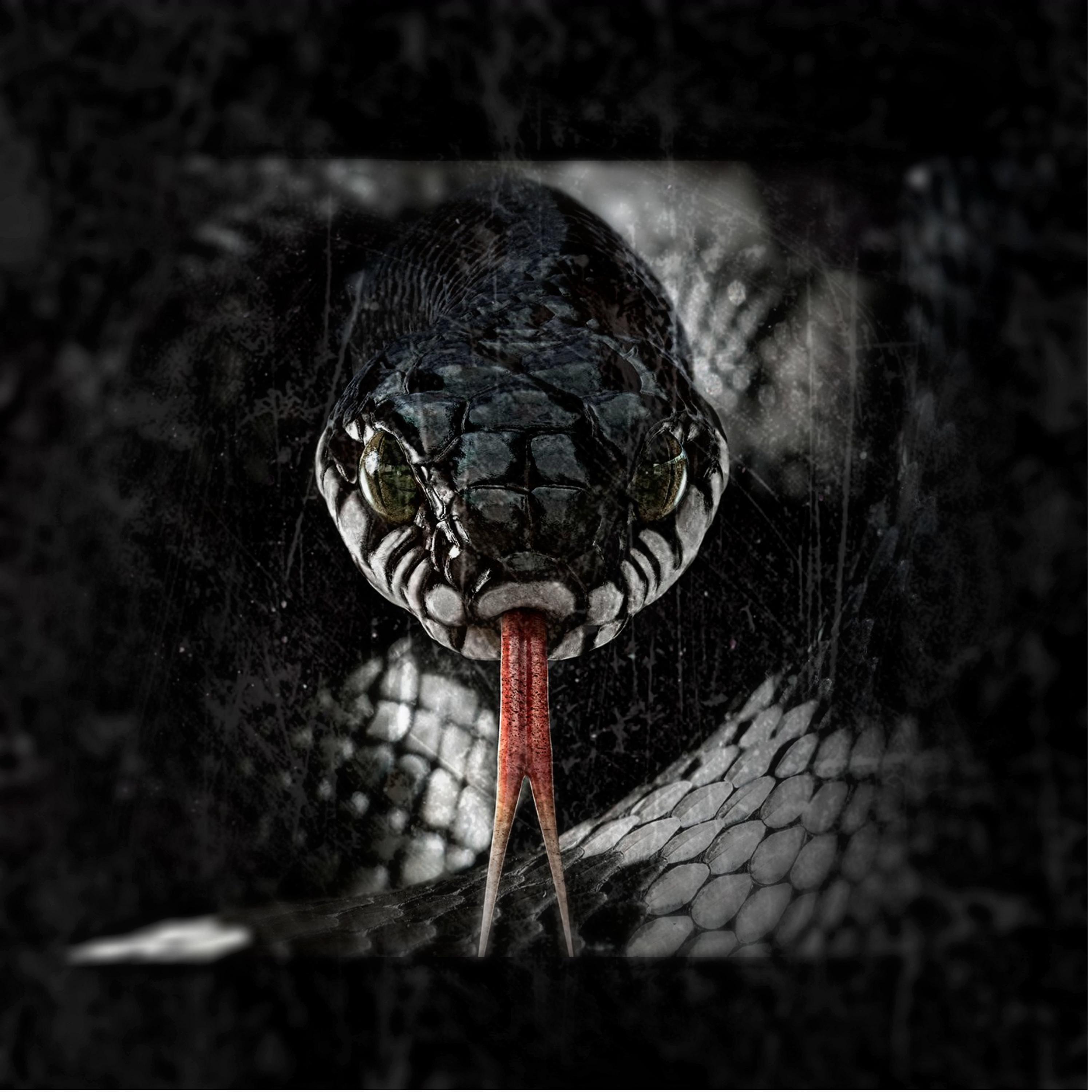 Постер альбома Змеи