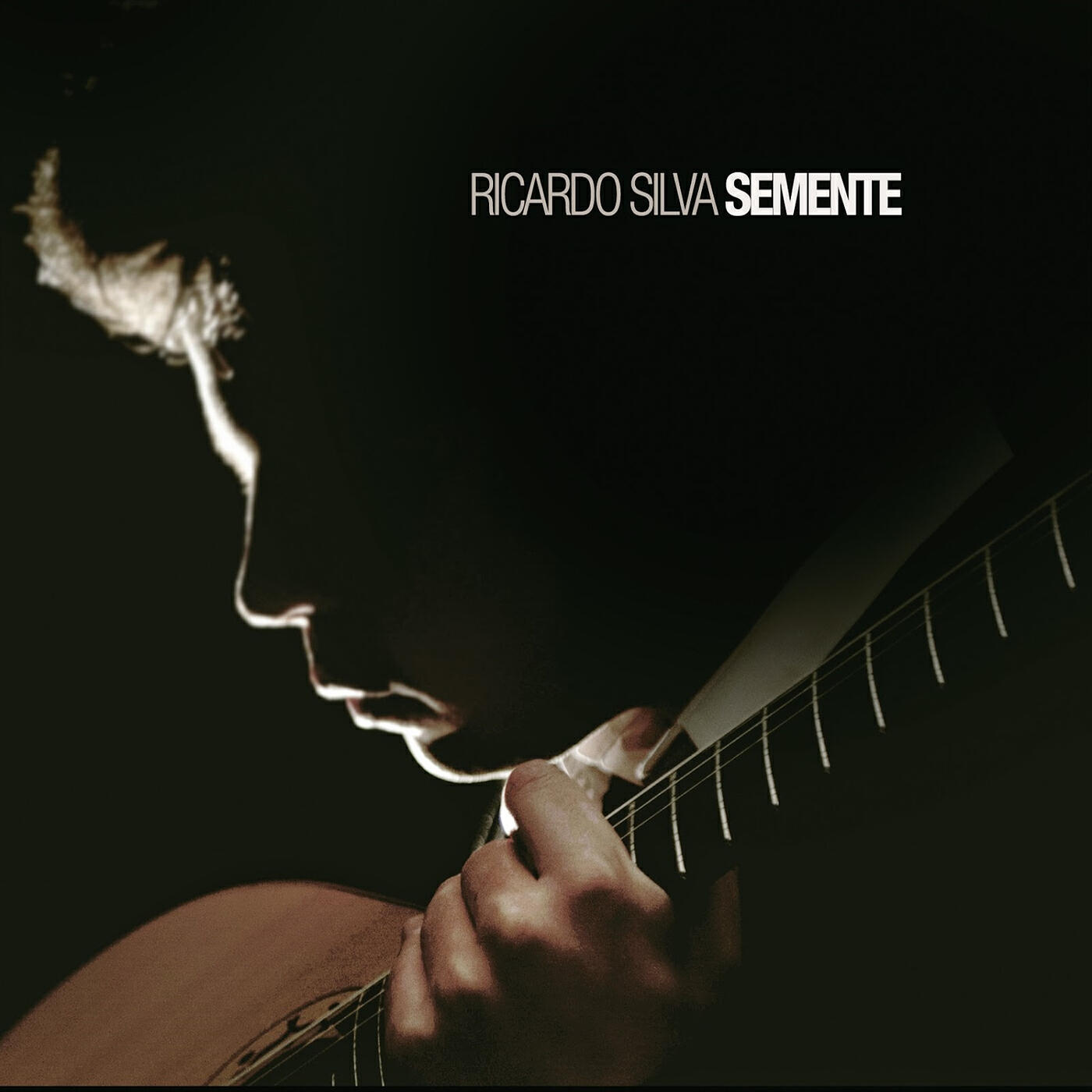 Ricardo Silva - Canto Do Rio
