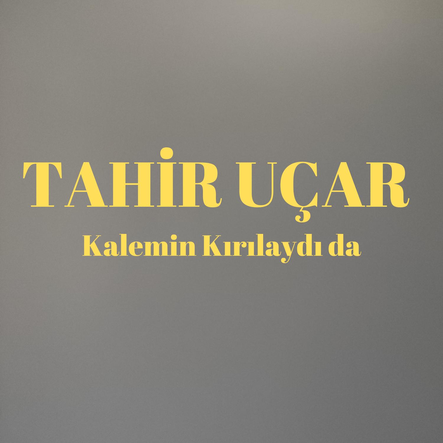 Постер альбома Kalemin Kırılaydıda