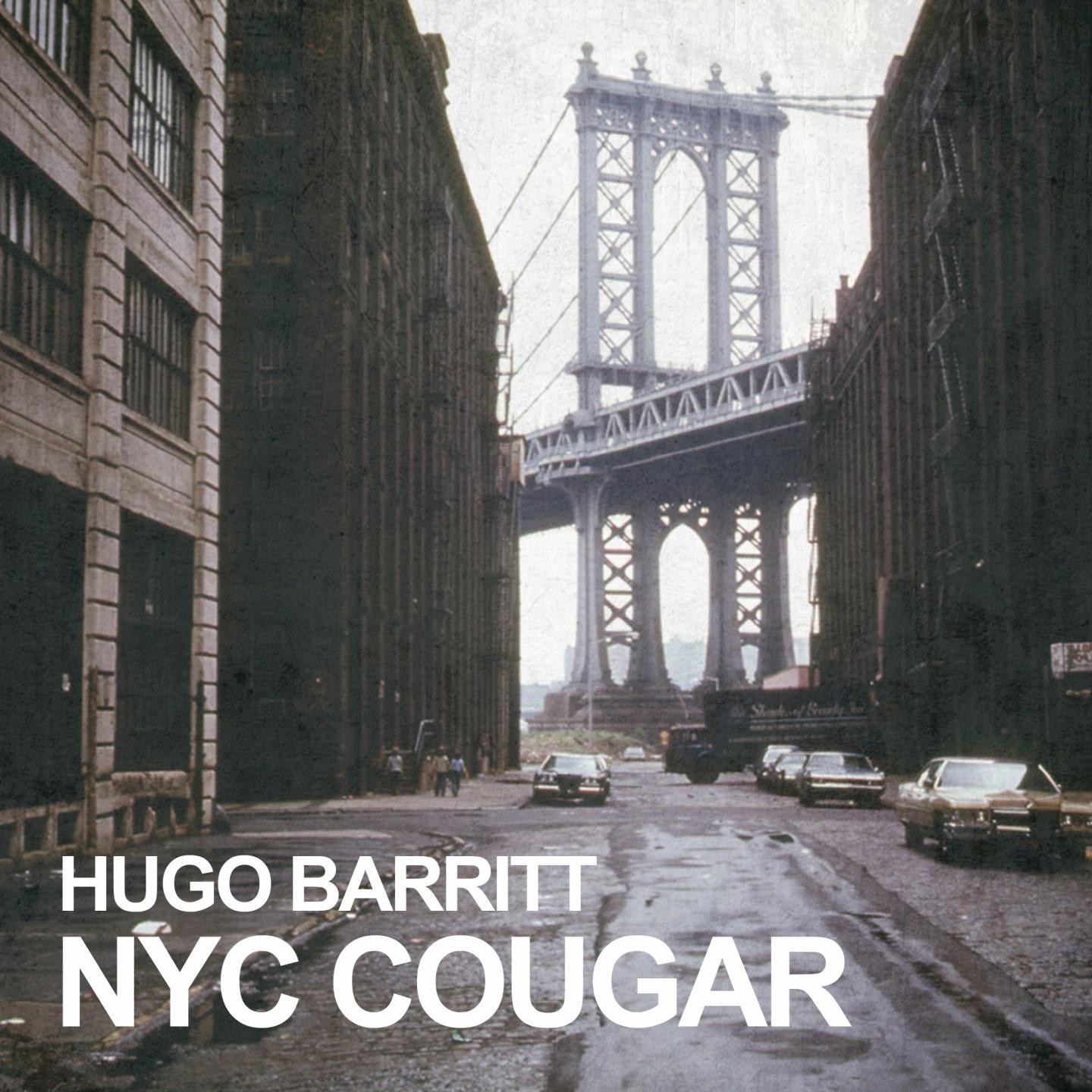 Постер альбома NYC Cougar