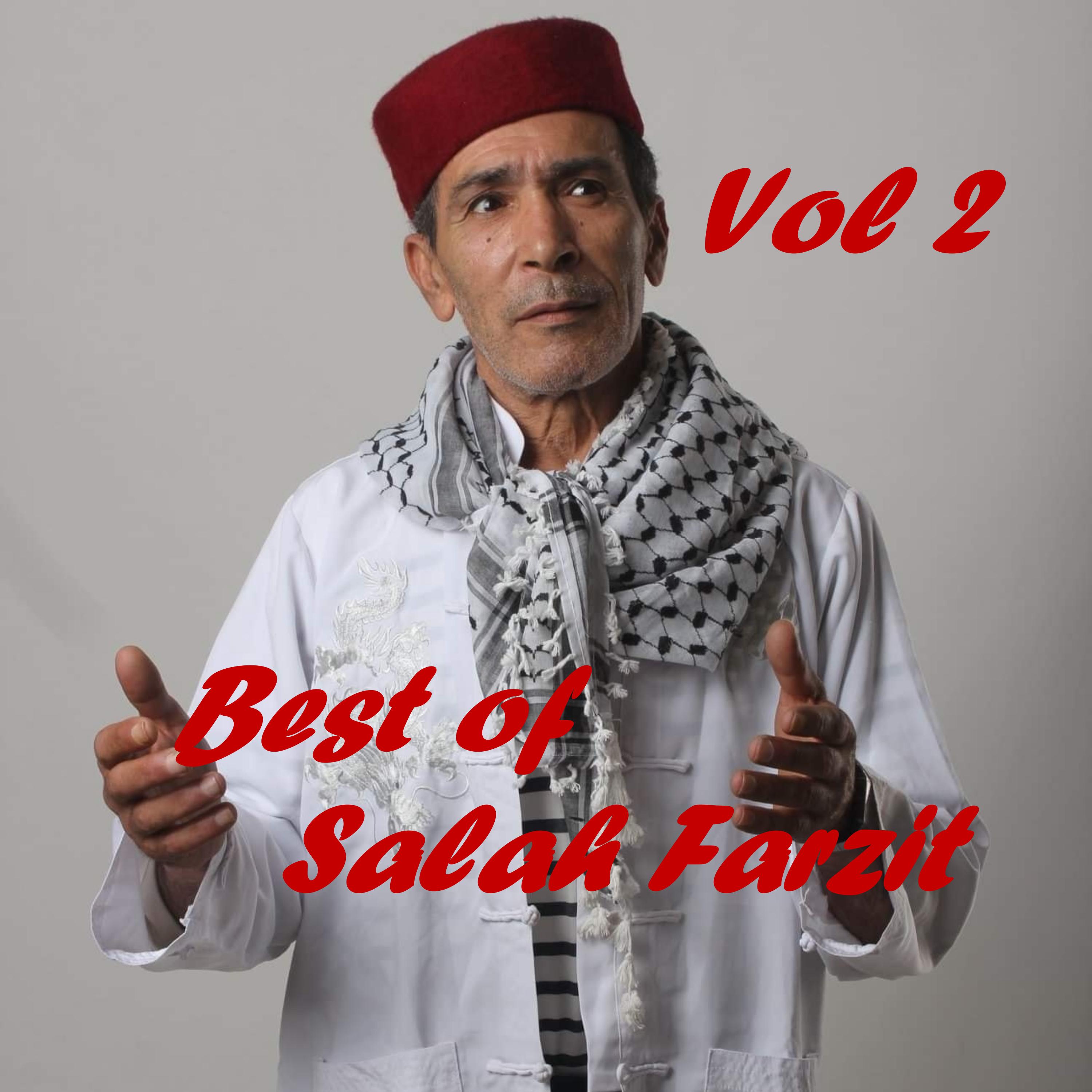 Постер альбома Best of Salah Farzit, Vol. 2