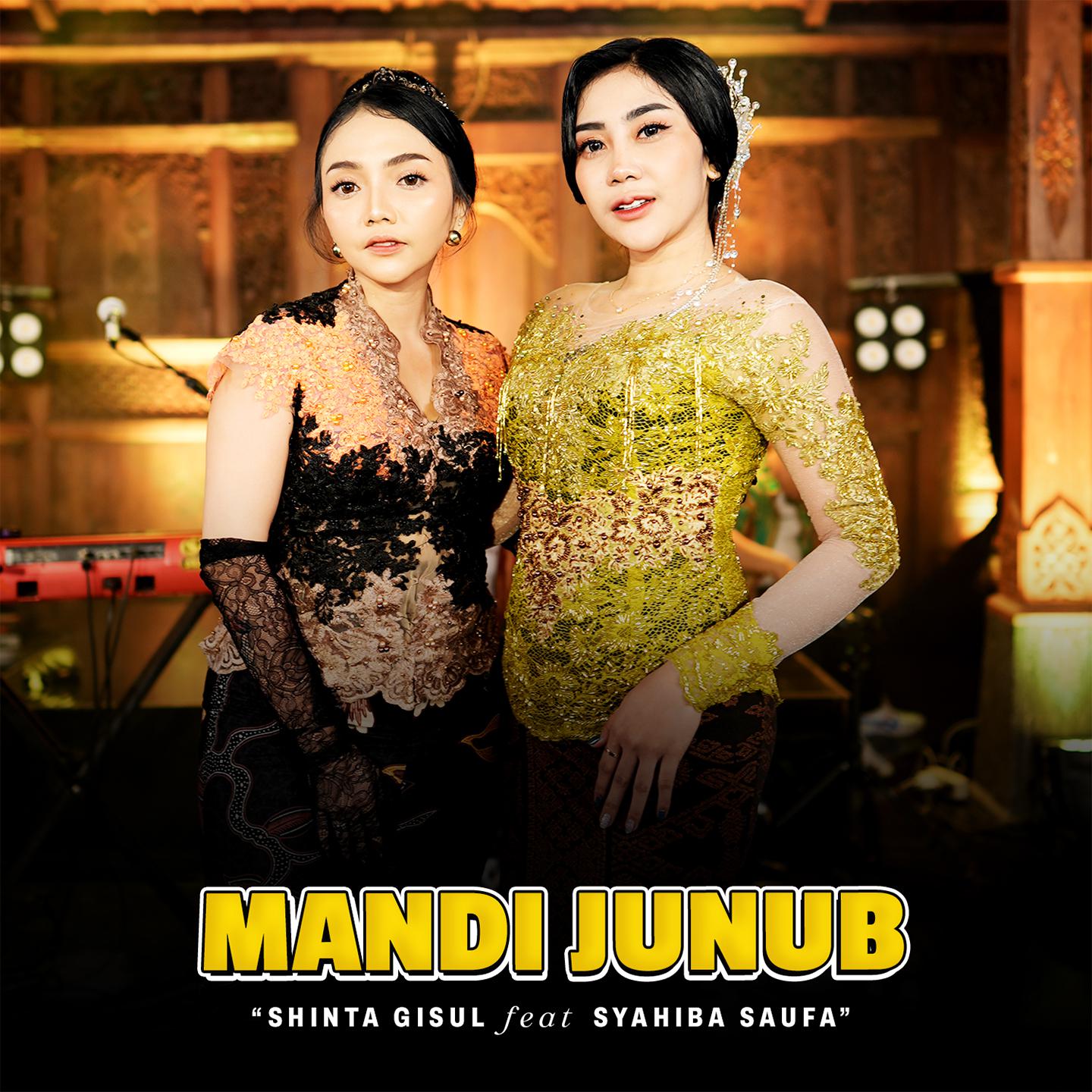 Постер альбома Mandi Junub