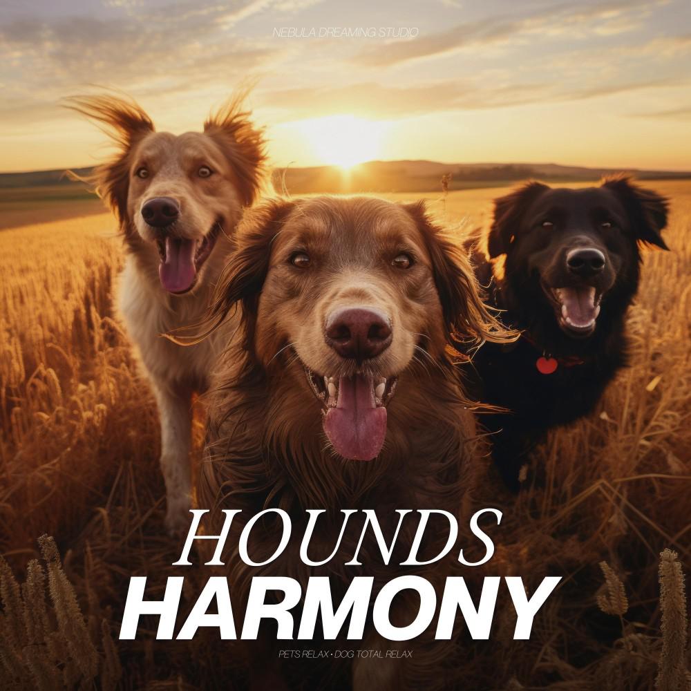 Постер альбома Hounds Harmony