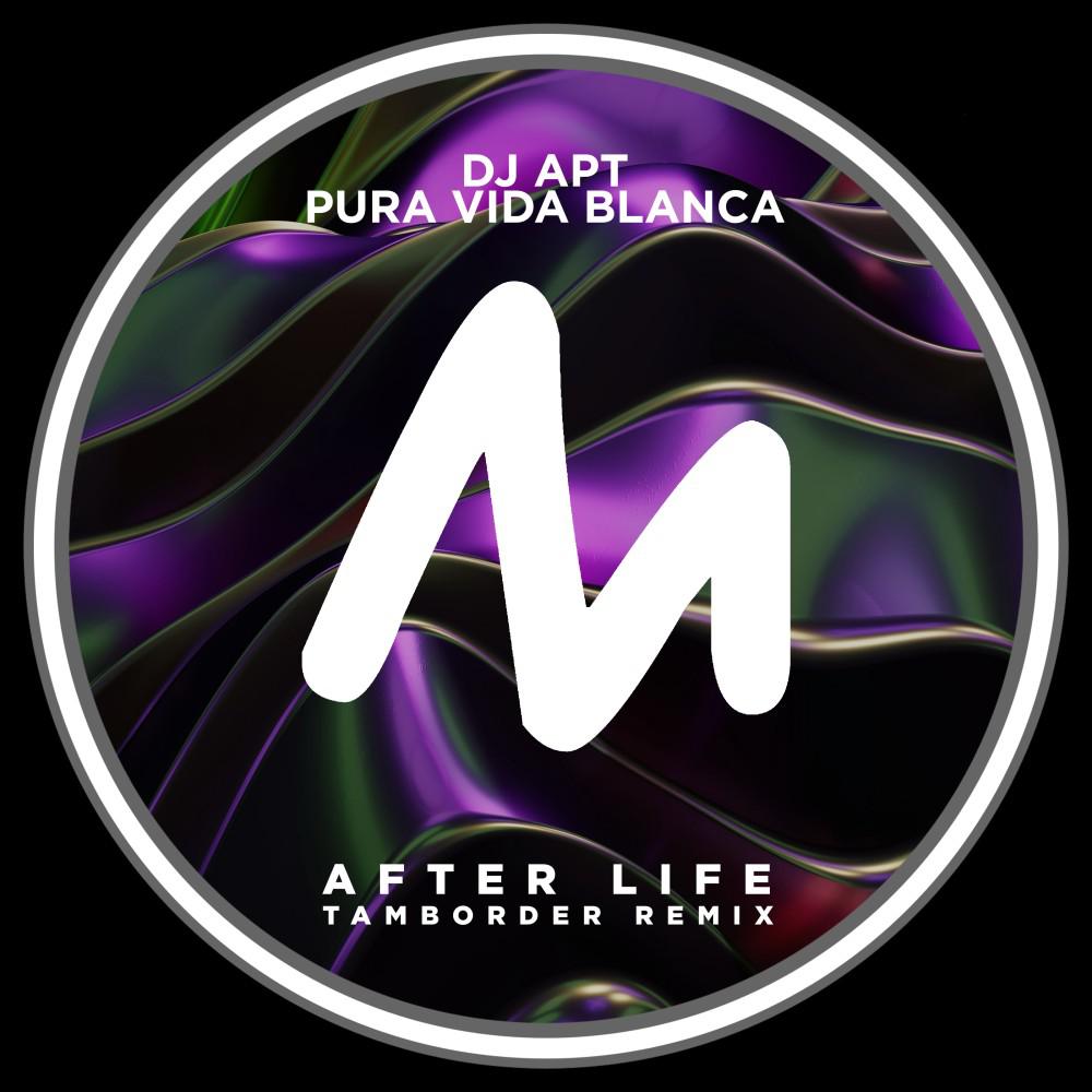 Постер альбома After Life (Tamborder Remix)