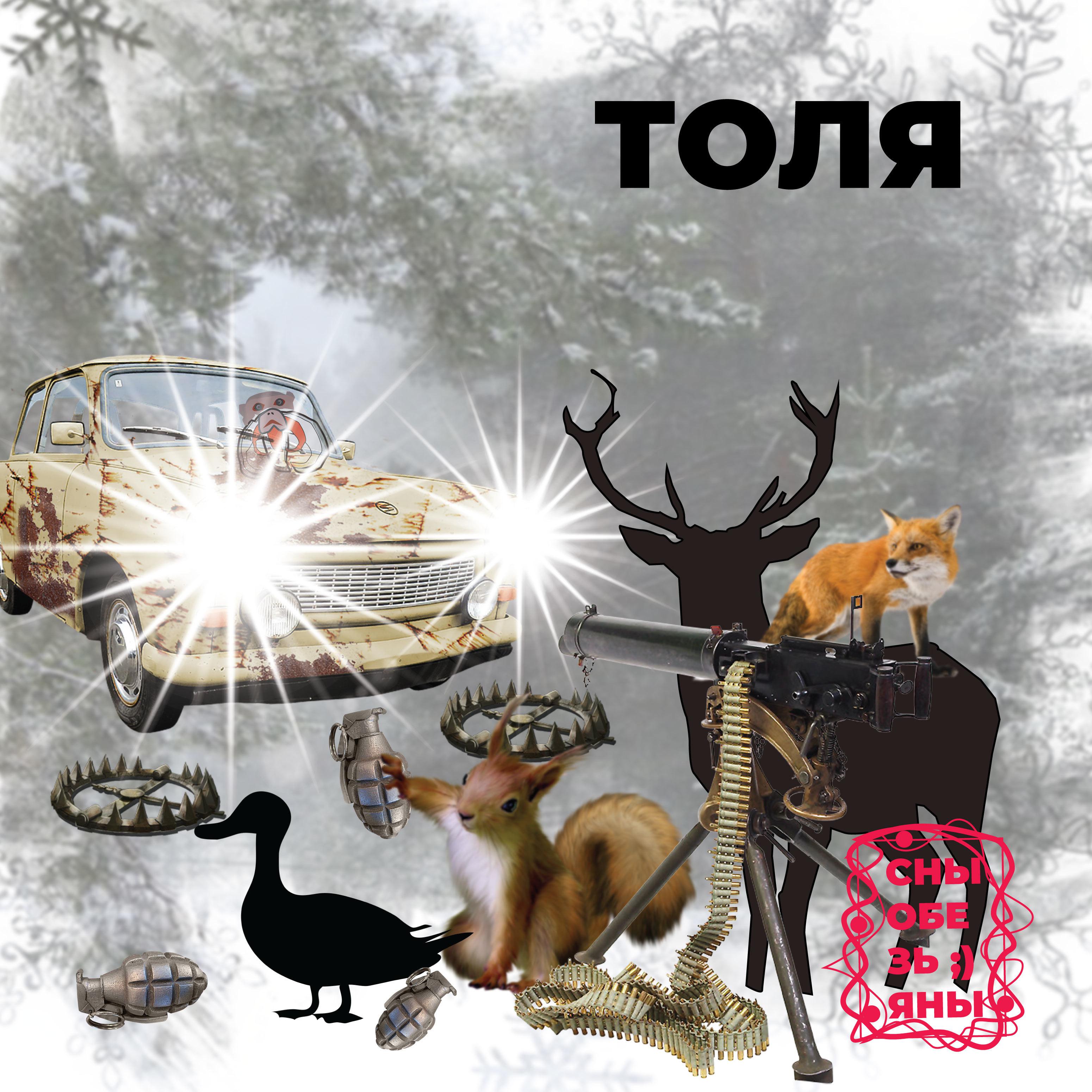 Постер альбома Толя