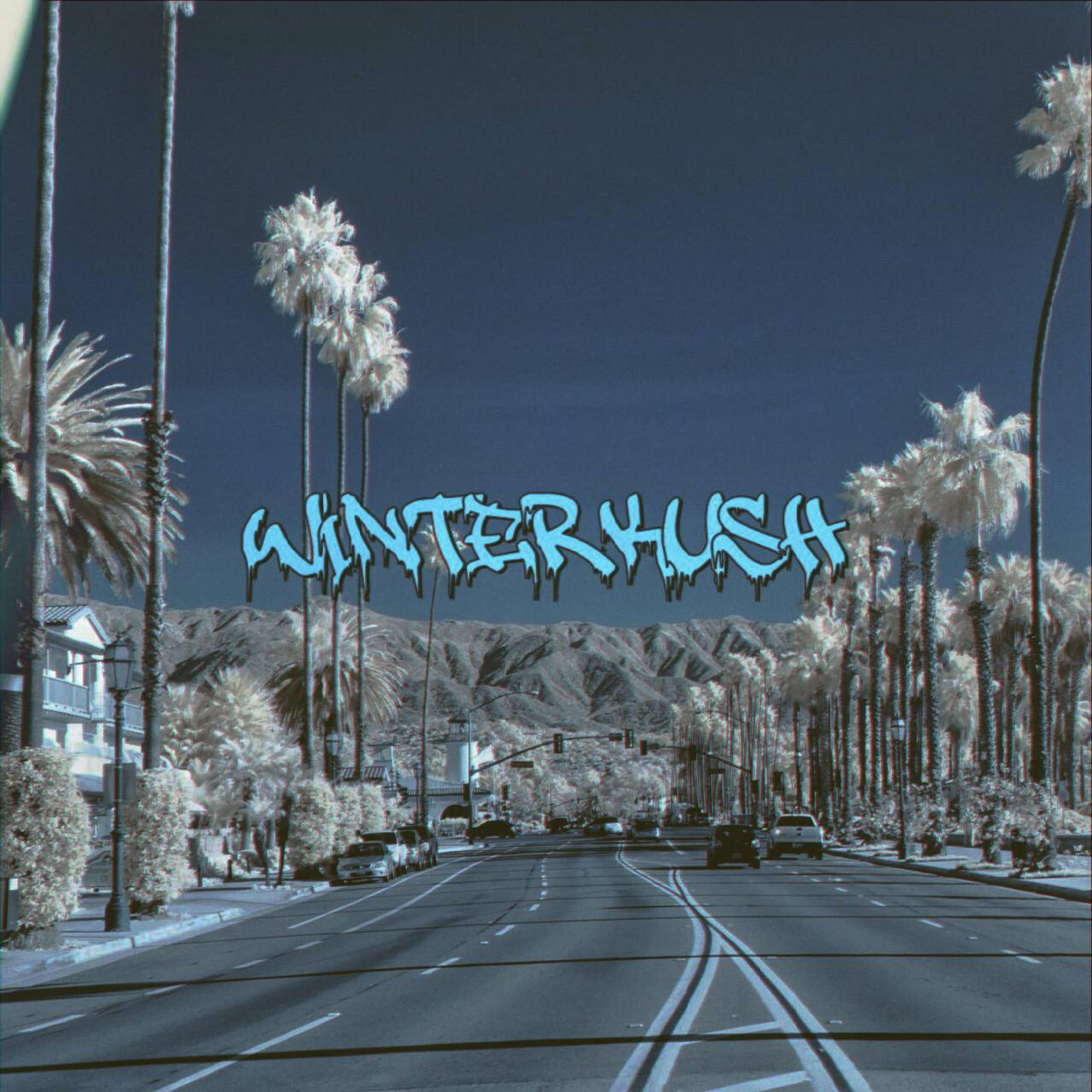Постер альбома Winter Kush (feat. Zohog)