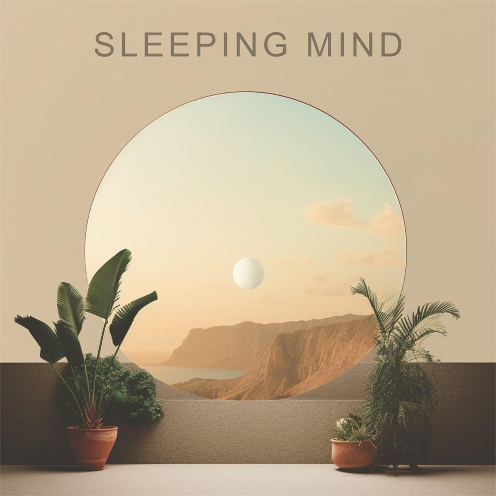 Постер альбома Sleeping Mind