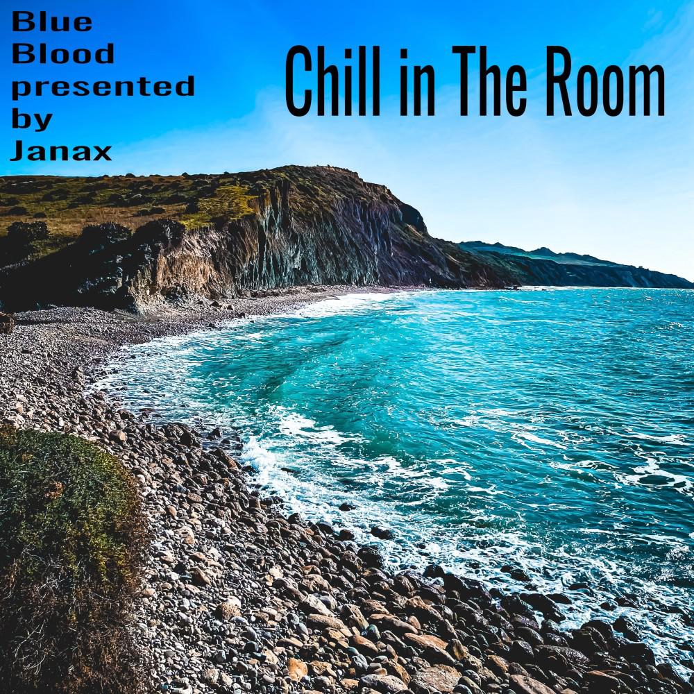 Постер альбома Chill in The Room