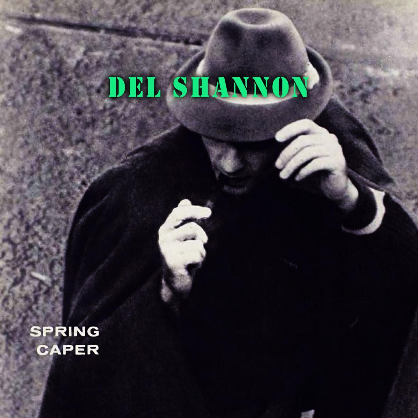 Del Shannon - Hats Off To Larry