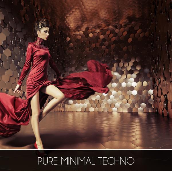 Постер альбома Pure Minimal Techno