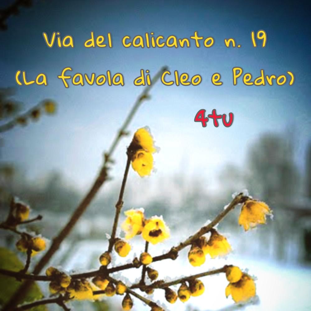 Постер альбома Via del calicanto n.19 (La favola di Cleo e Pedro)