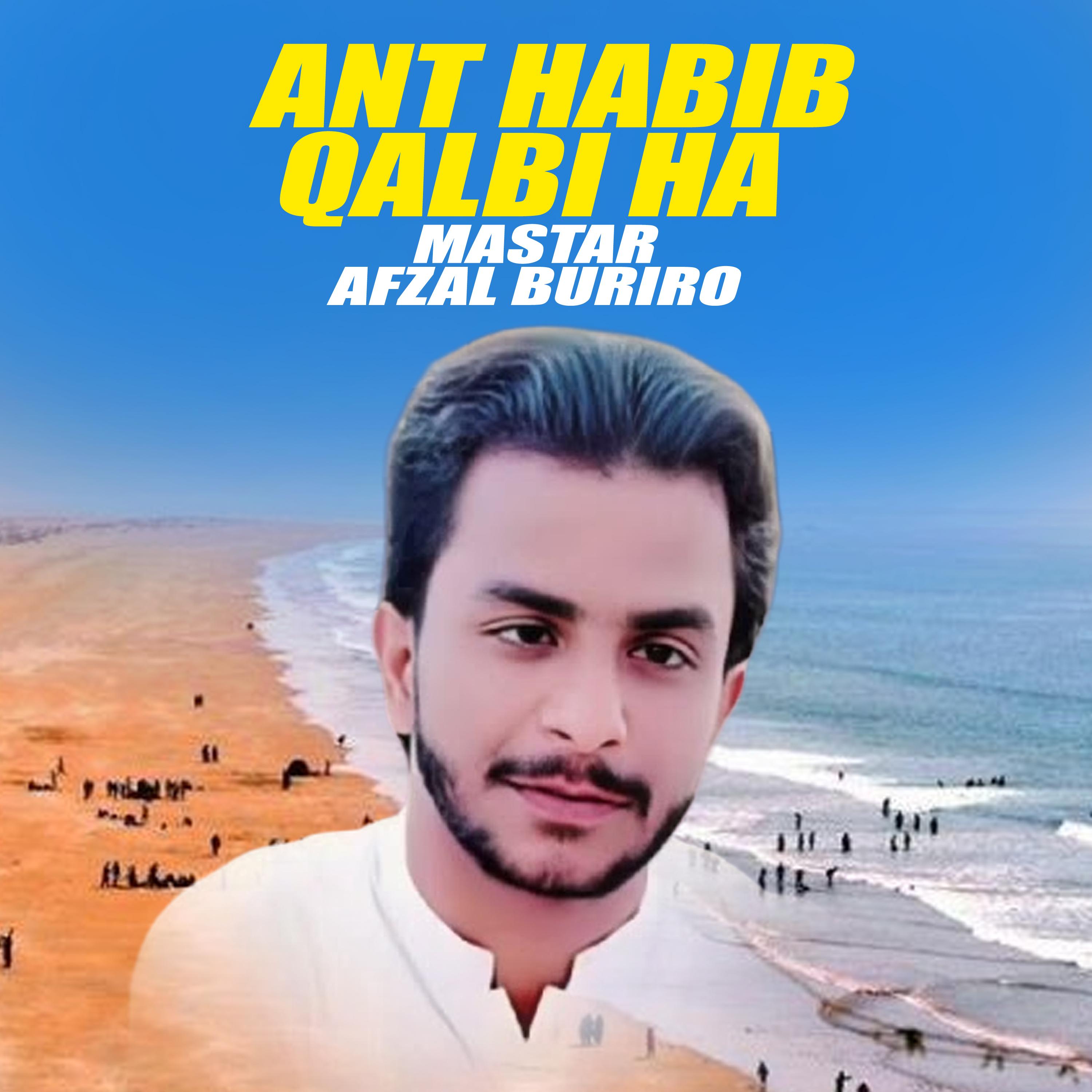 Постер альбома Ant Habib Qalbi Ha