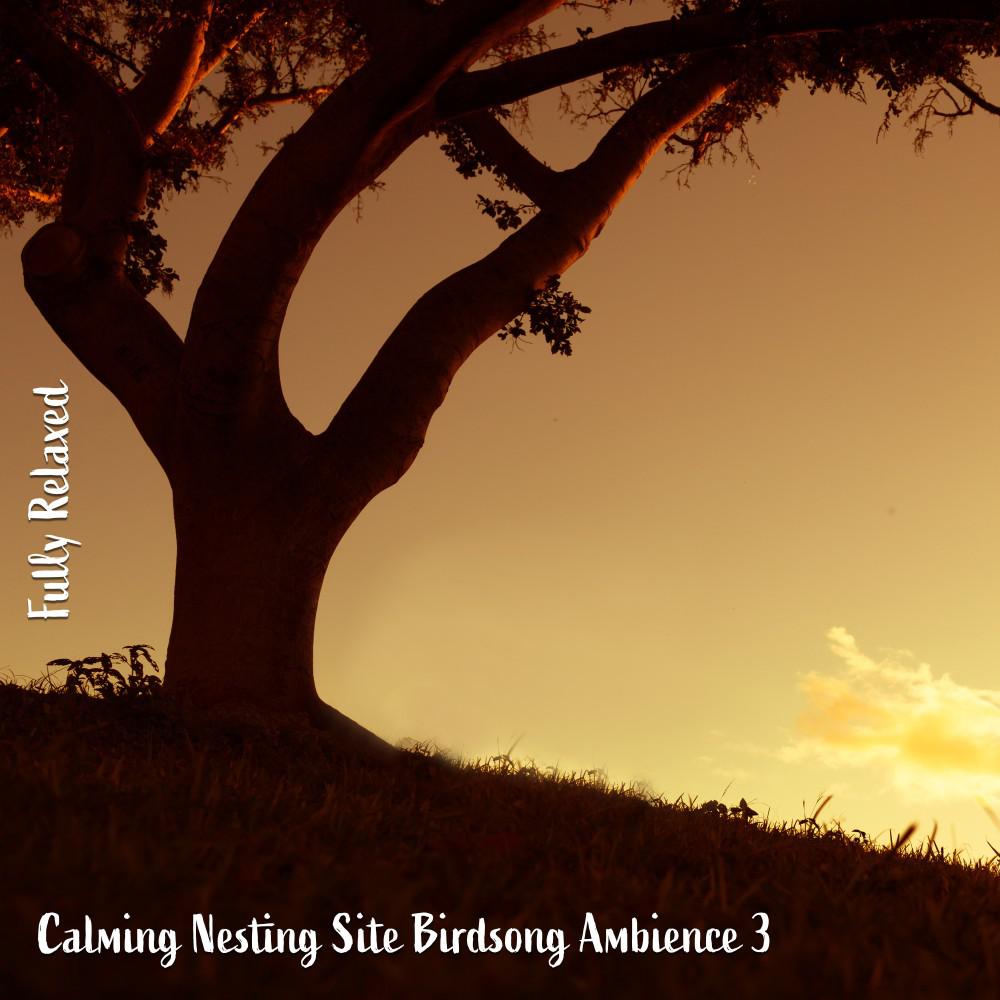Постер альбома Fully Relaxed: Calming Nesting Site Birdsong Ambience 3
