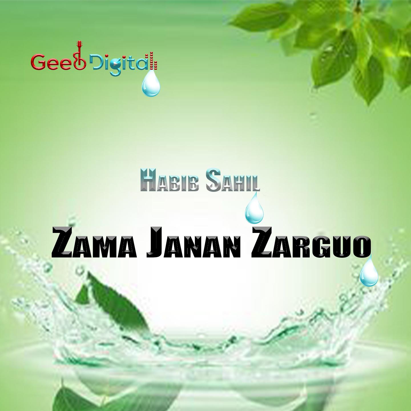 Постер альбома Zama Janan Zarguo