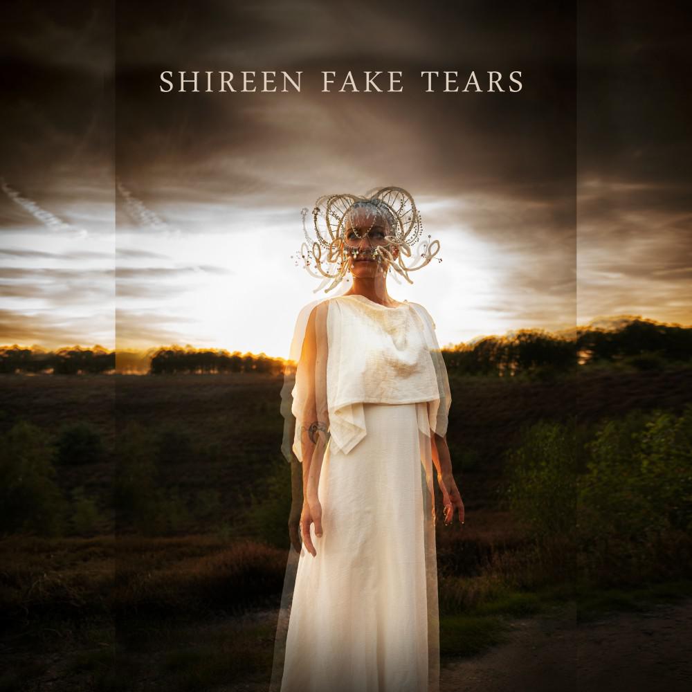 Постер альбома Fake Tears