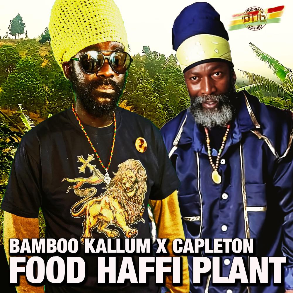 Постер альбома Food Haffi Plant