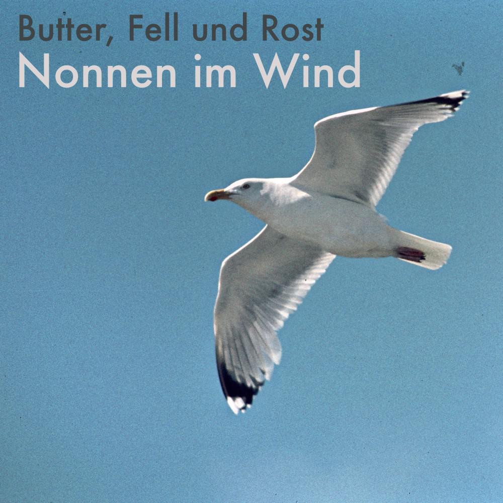 Постер альбома Nonnen im Wind