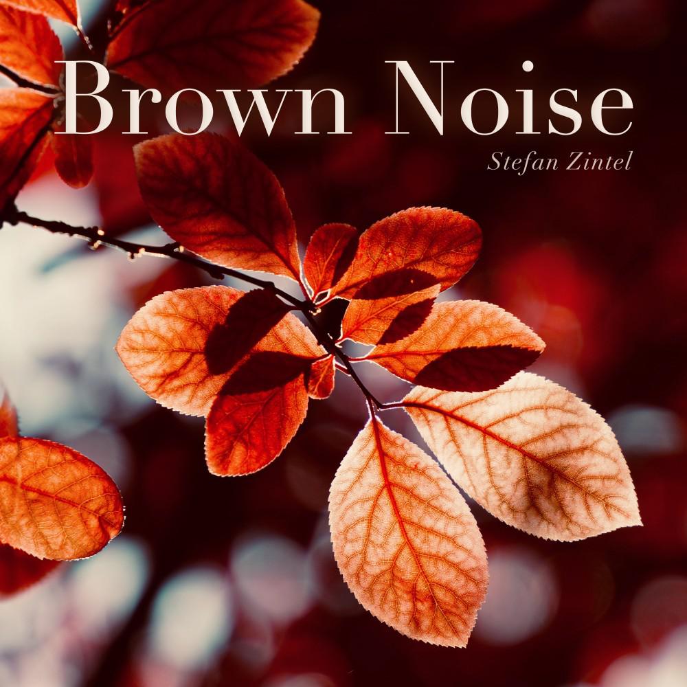 Постер альбома Brown Noise (Static Noise Collection)