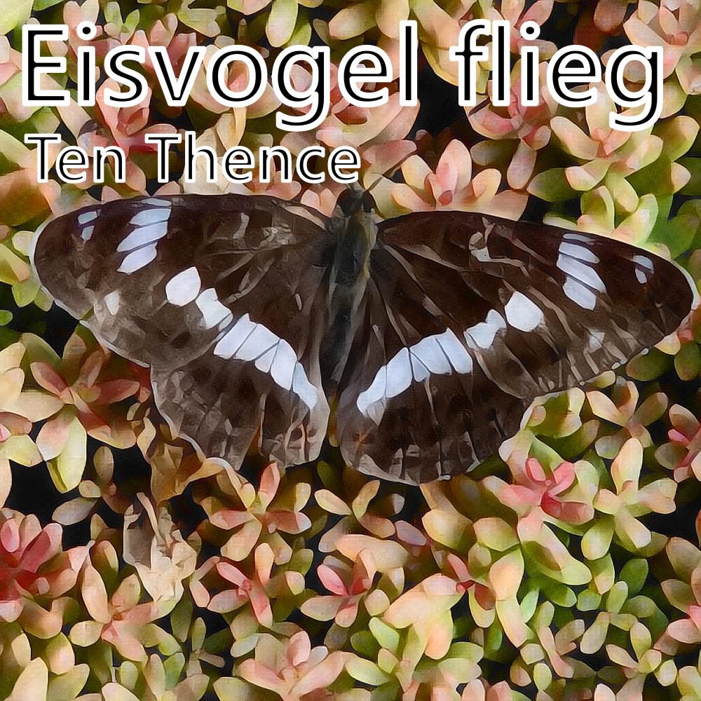 Постер альбома Eisvogel flieg