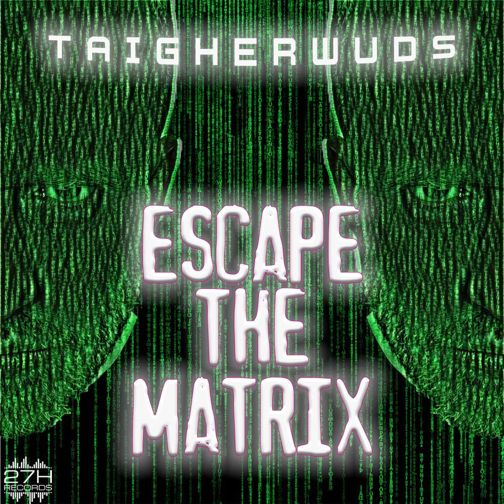 Постер альбома Escape the Matrix