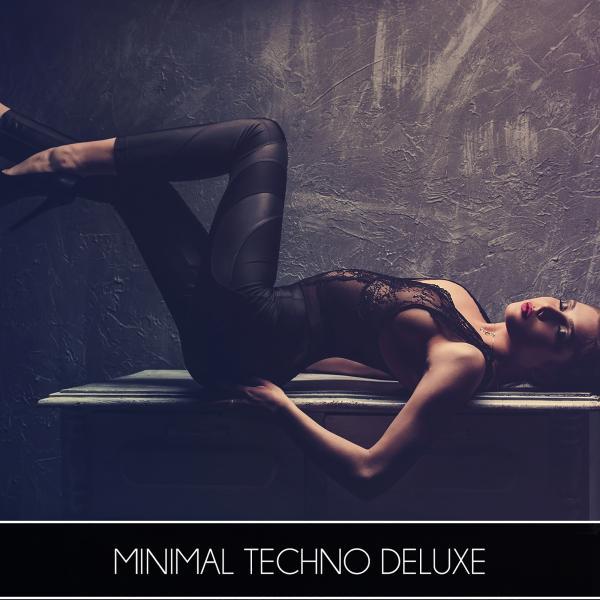 Постер альбома Minimal Techno Deluxe