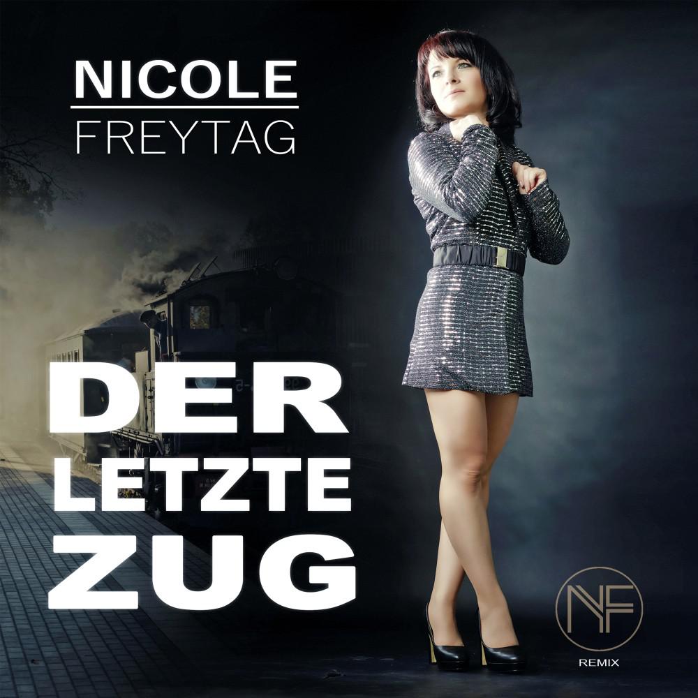 Постер альбома Der letzte Zug (Remix)